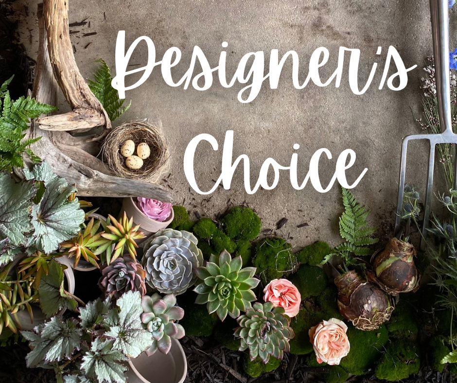 Designer’s Choice - 3.png