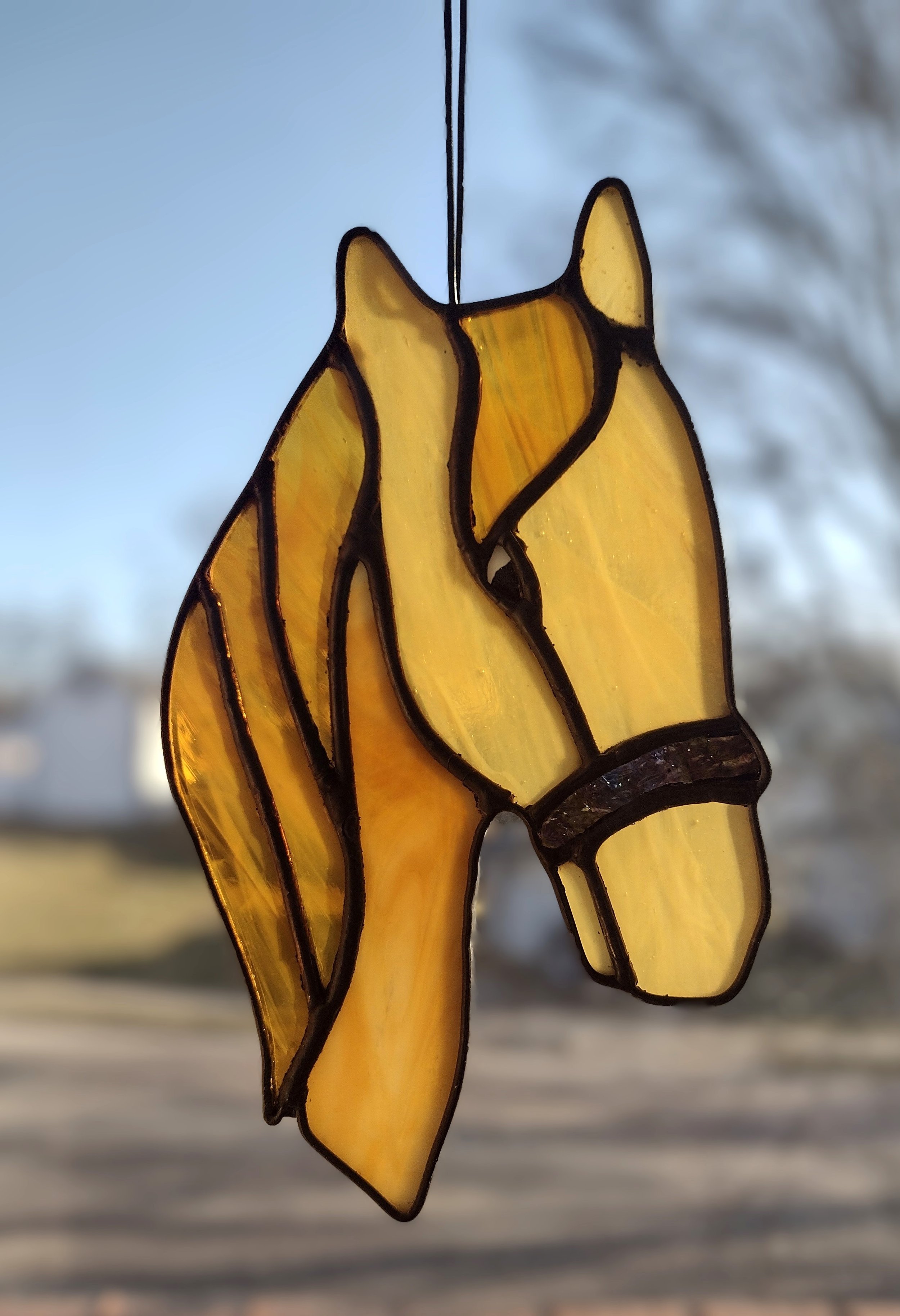 ahorse3.jpg