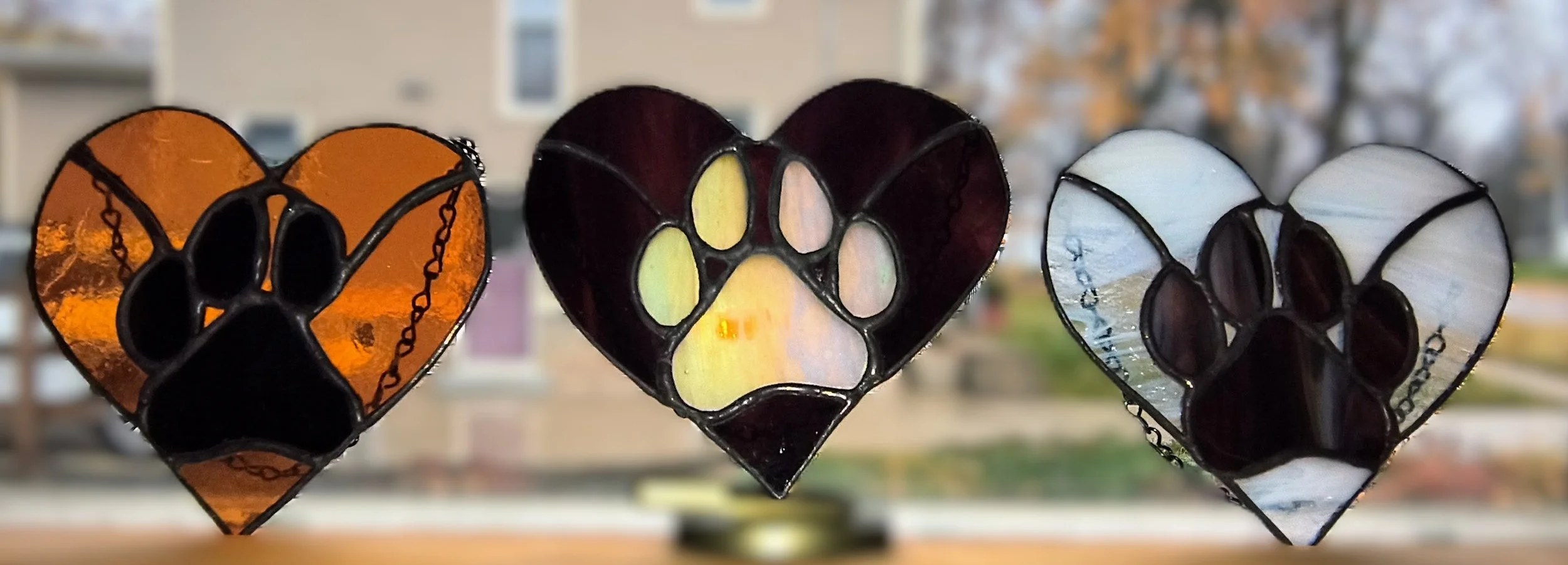 Sooo Many Dog Paws