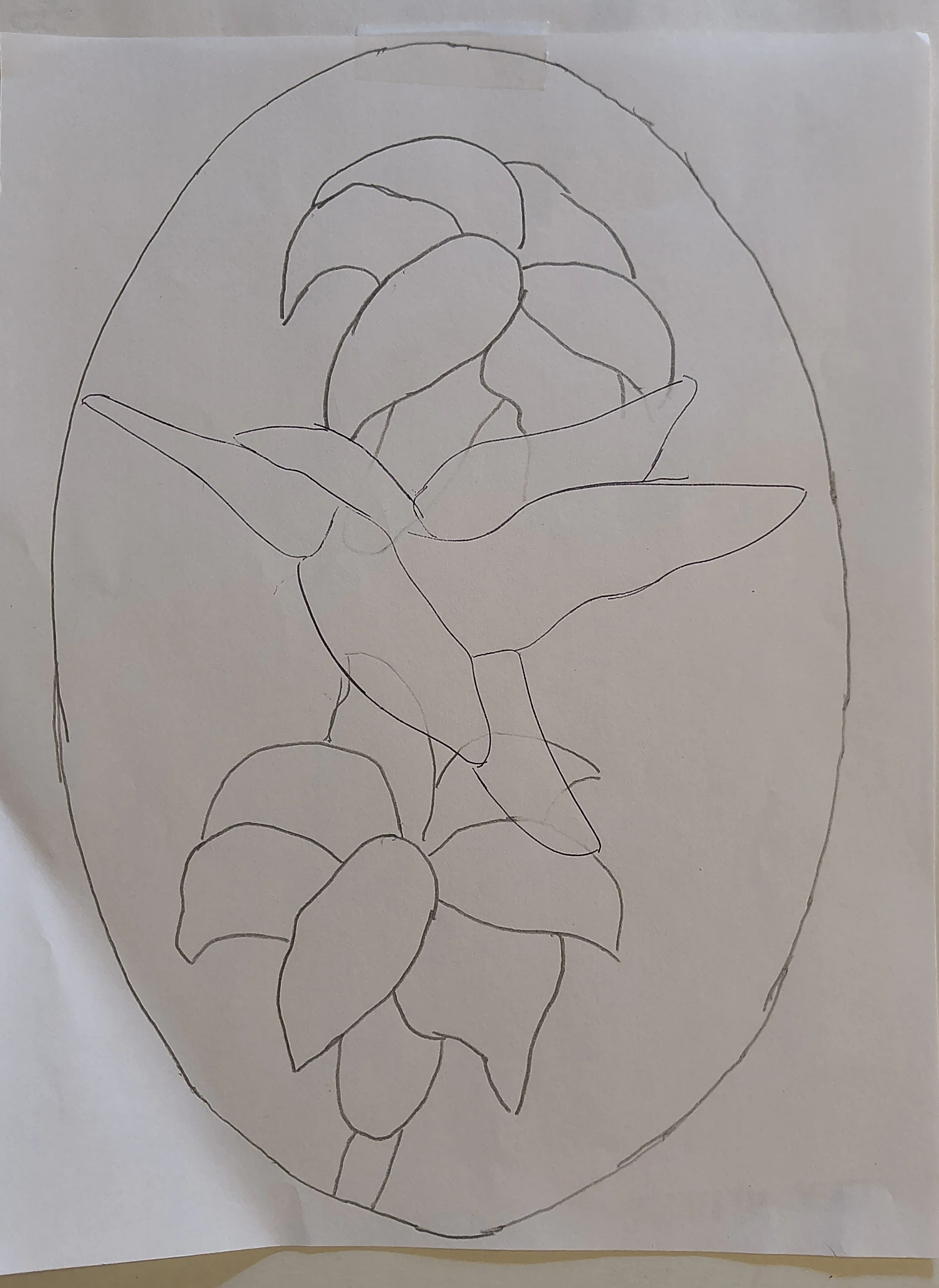 Let’s Try a Video Blog 