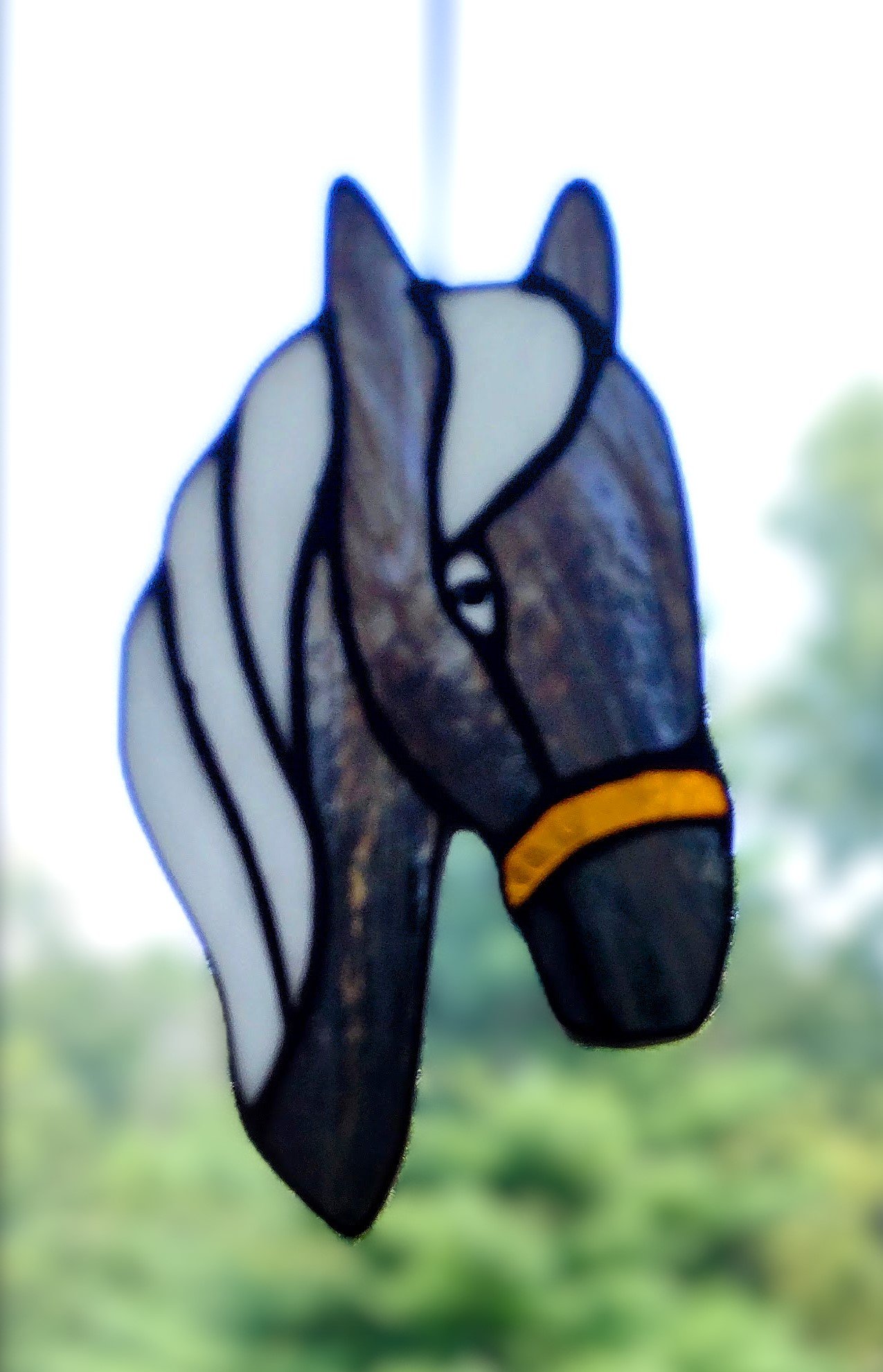 1ahorsebb.jpg