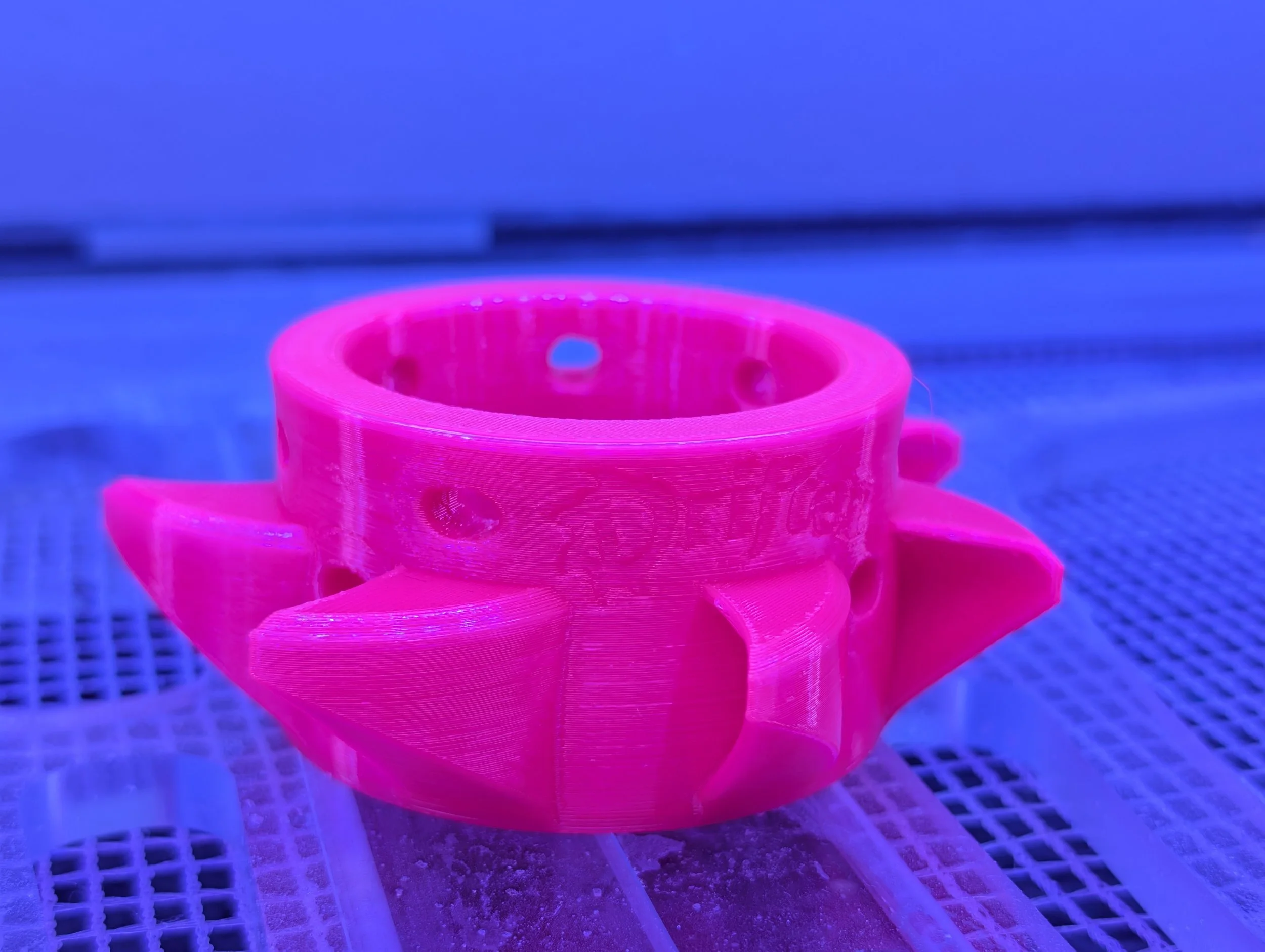 Coral Candy Mini 2.jpg