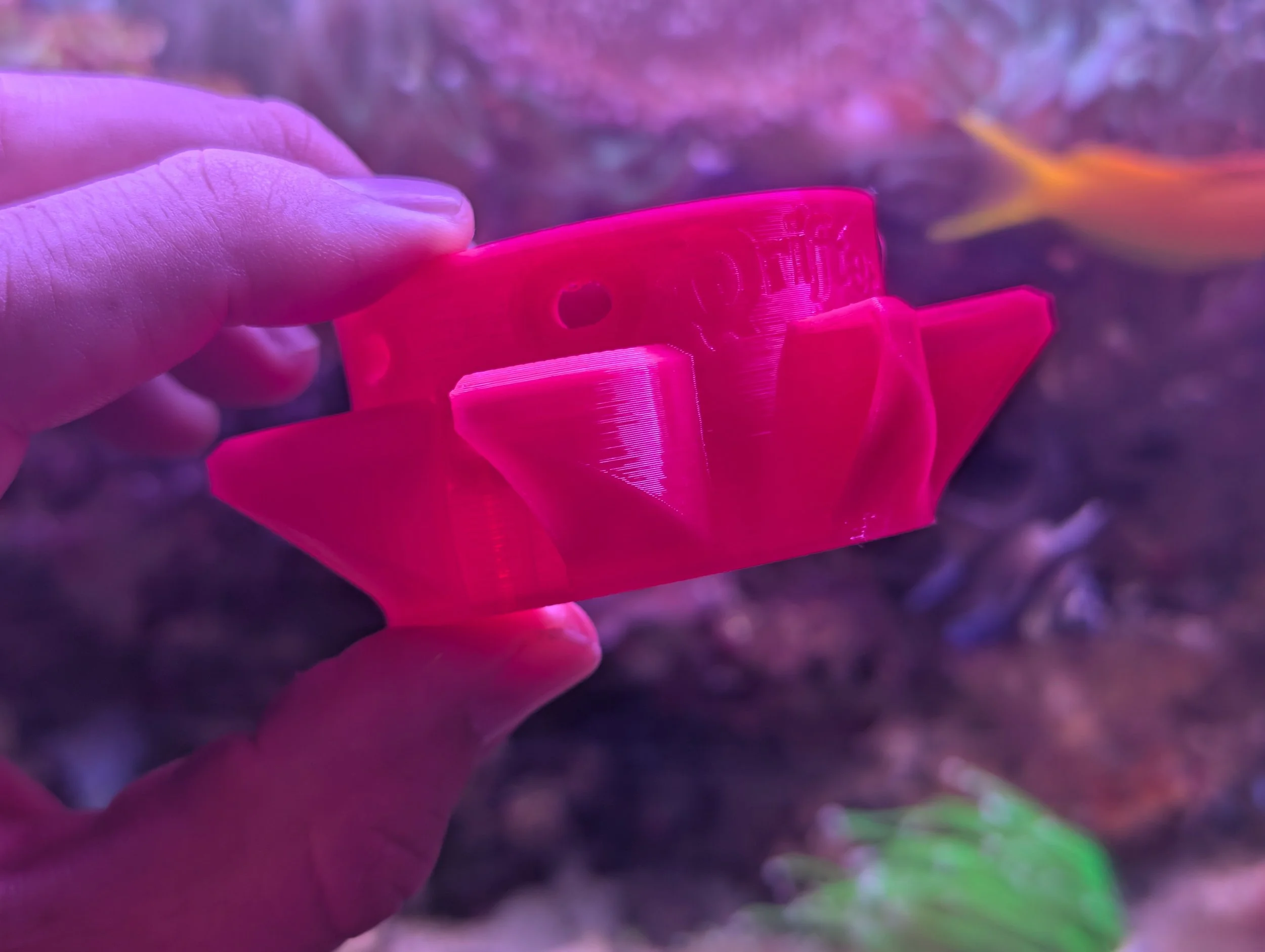 Coral Candy Mini1.jpg