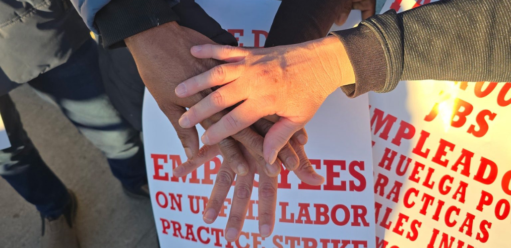 Labor Notes: ‘In 57 Languages, Meatpackers Strike for the First Time in 40 Years’