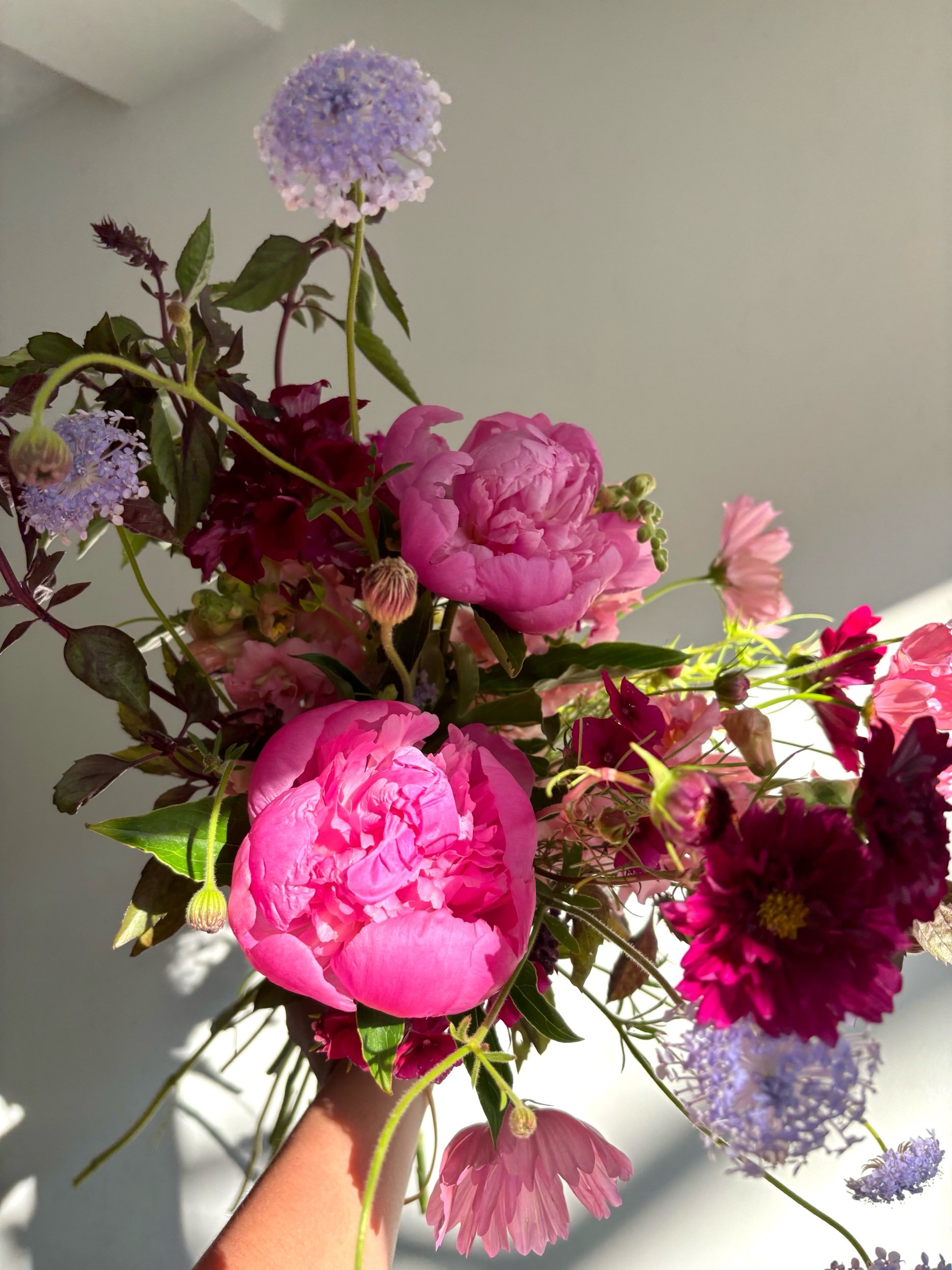 D66F3725-AB05-4B02-910C-784B18310D6A.jpeg