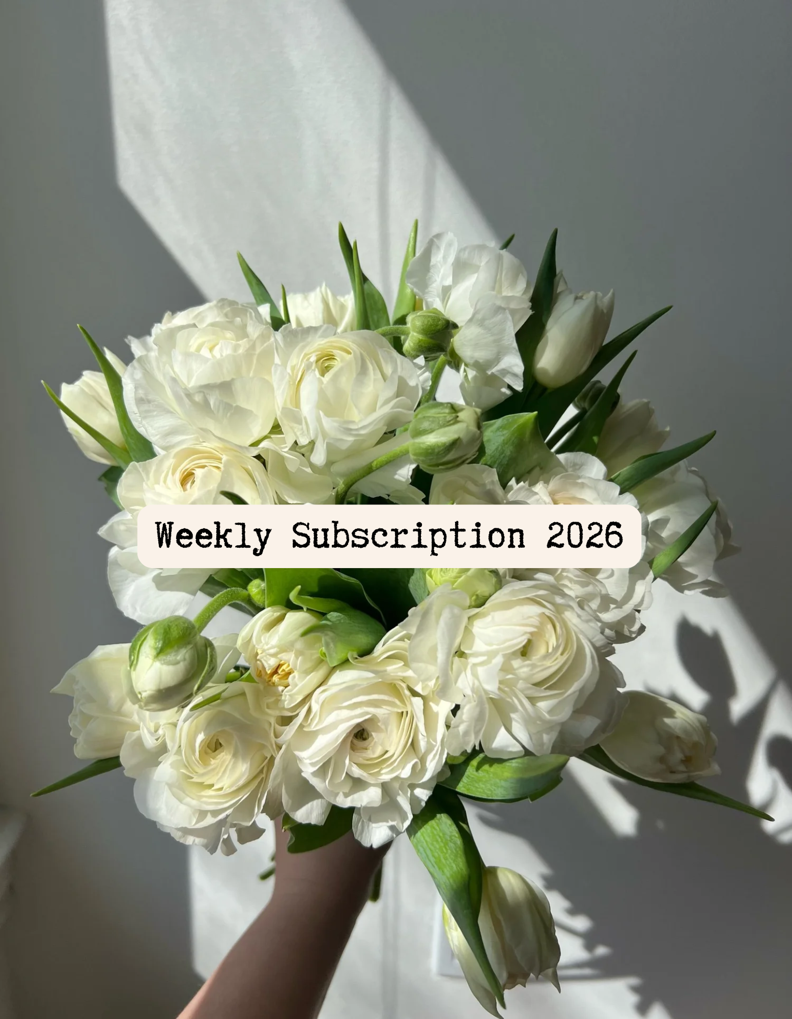 Untitled (7 x 9 in).png