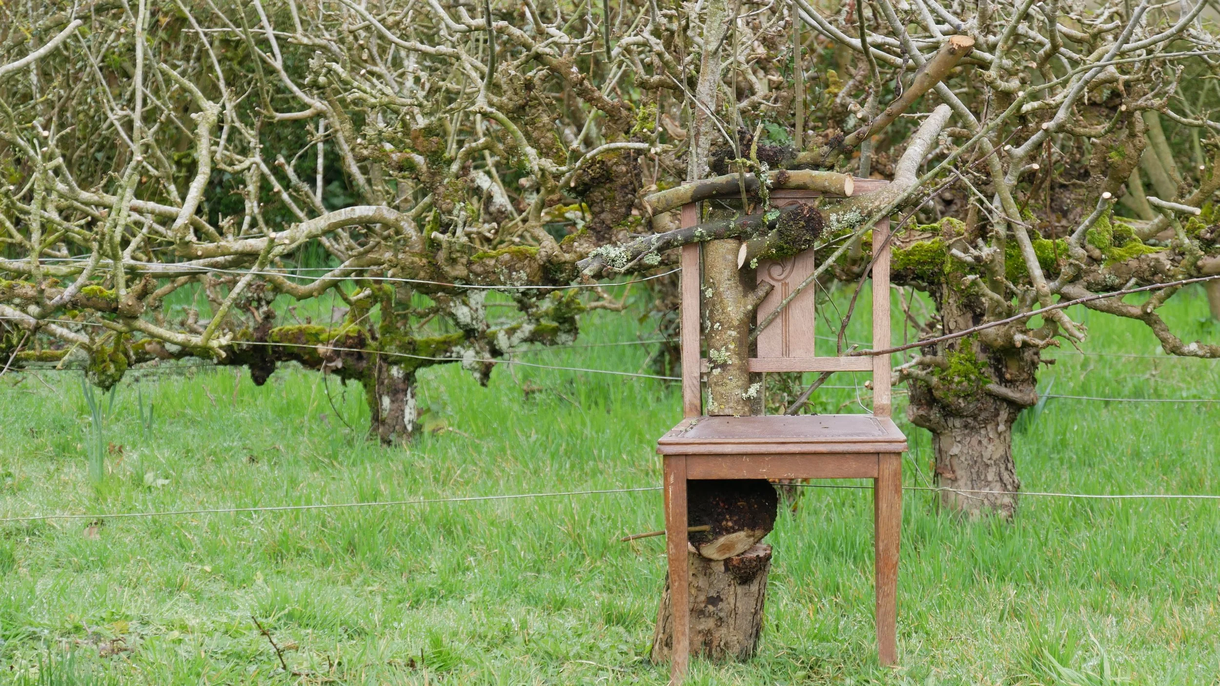 Une tentative de reconstitution et de réintégration
