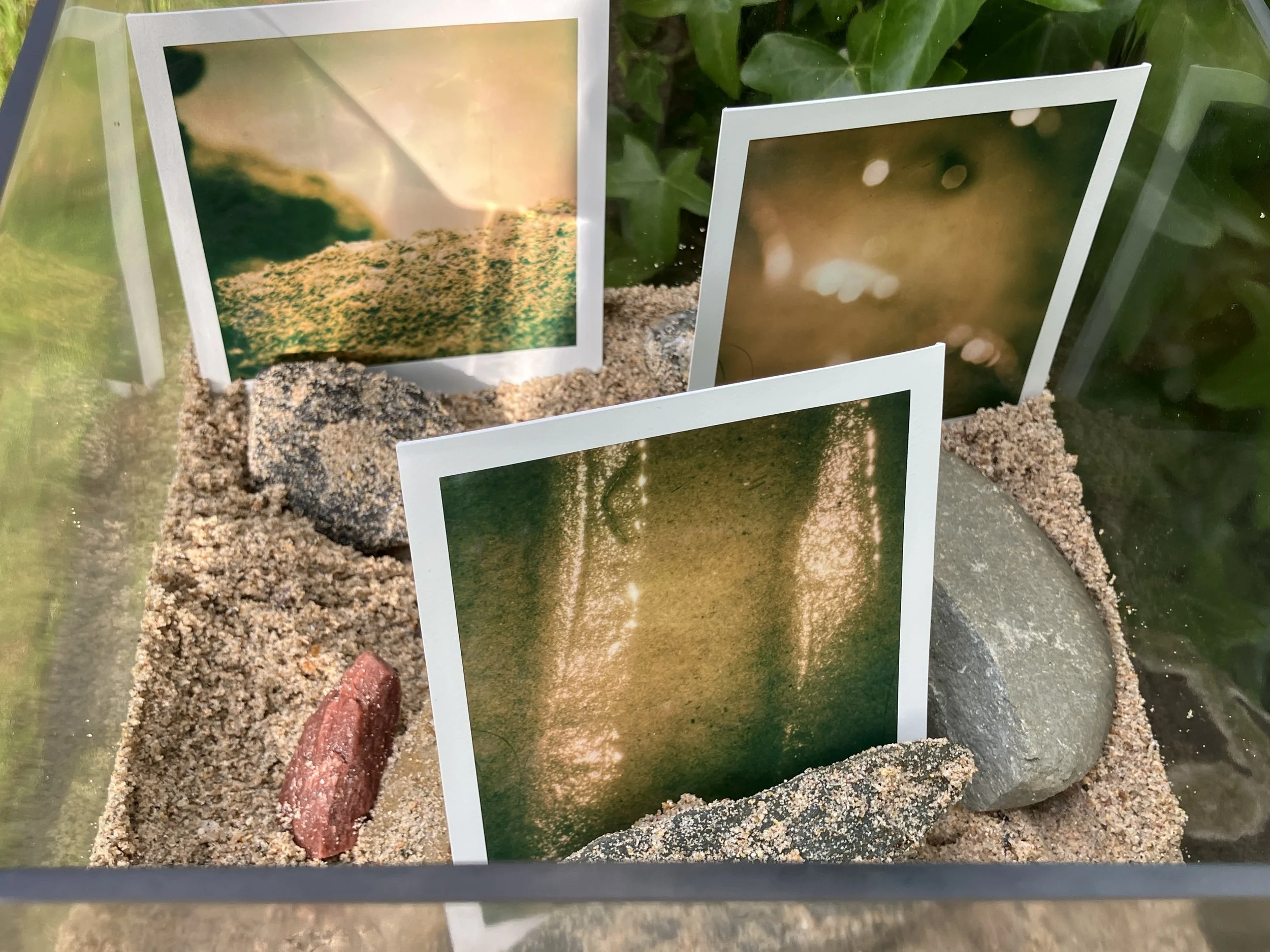 Entre matière et lumière