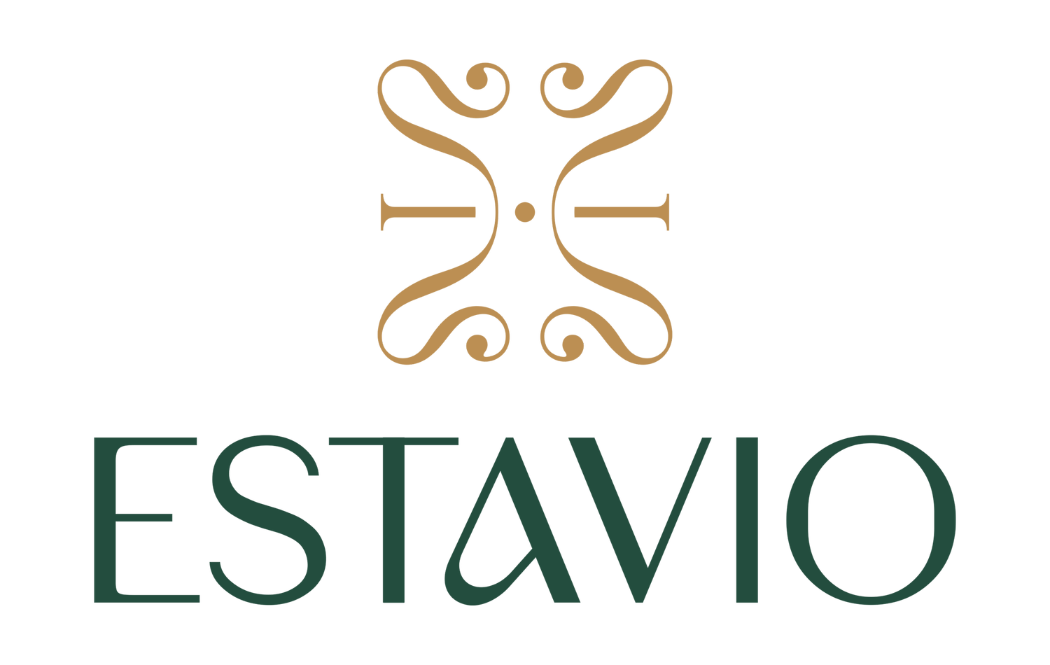 The Estavio Real Estate Group