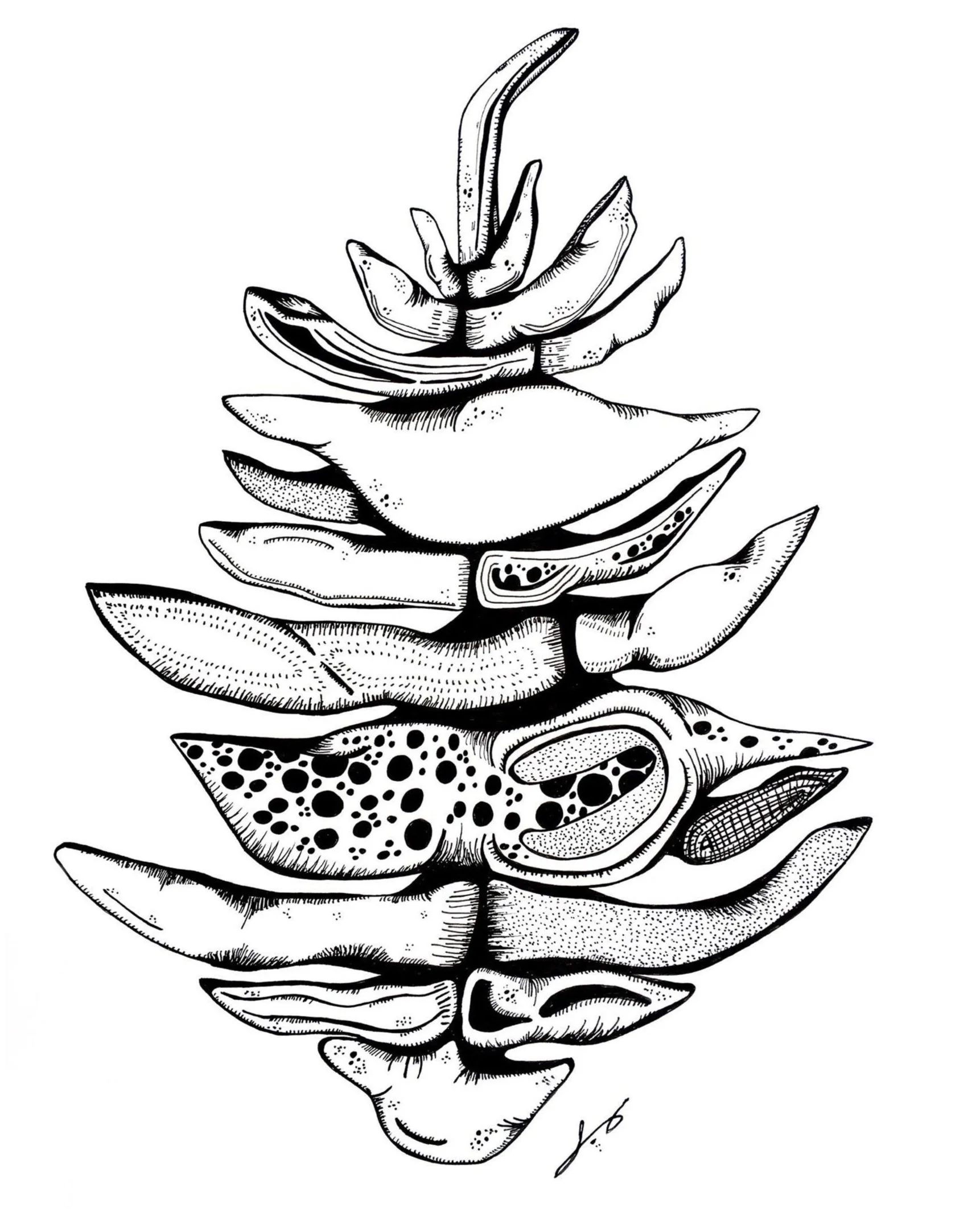 Pinecone+Sophia_.jpg