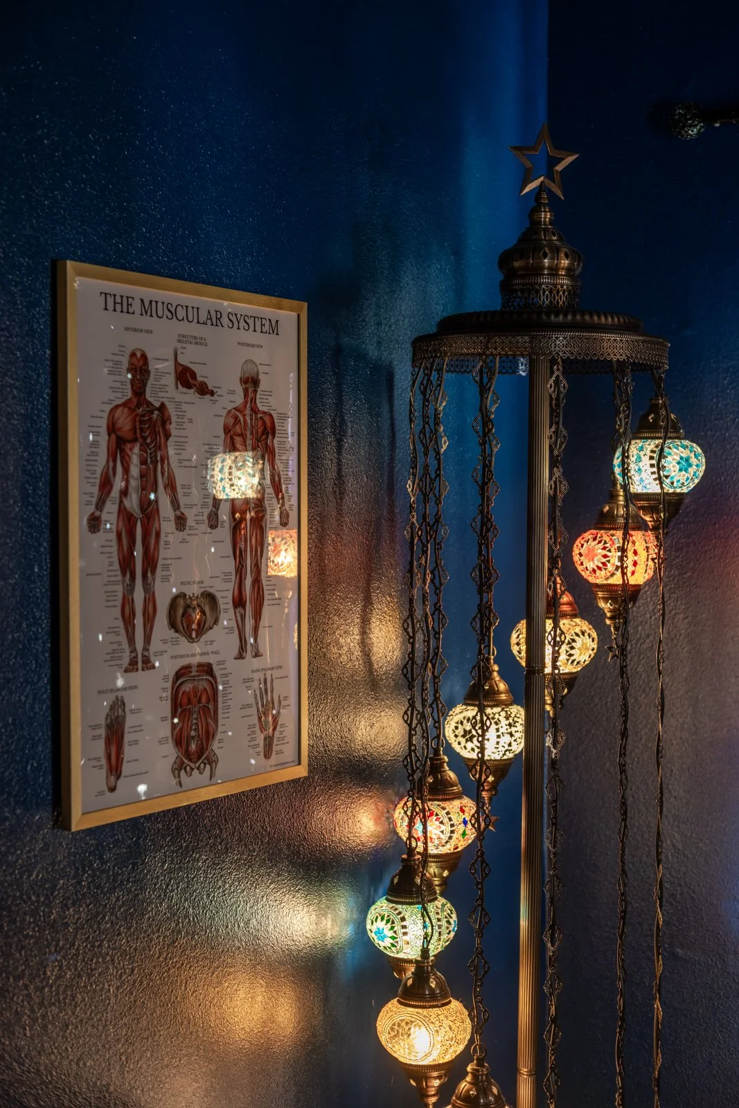 Image of framed poster of the human muscular system and a colorful oriental lamp