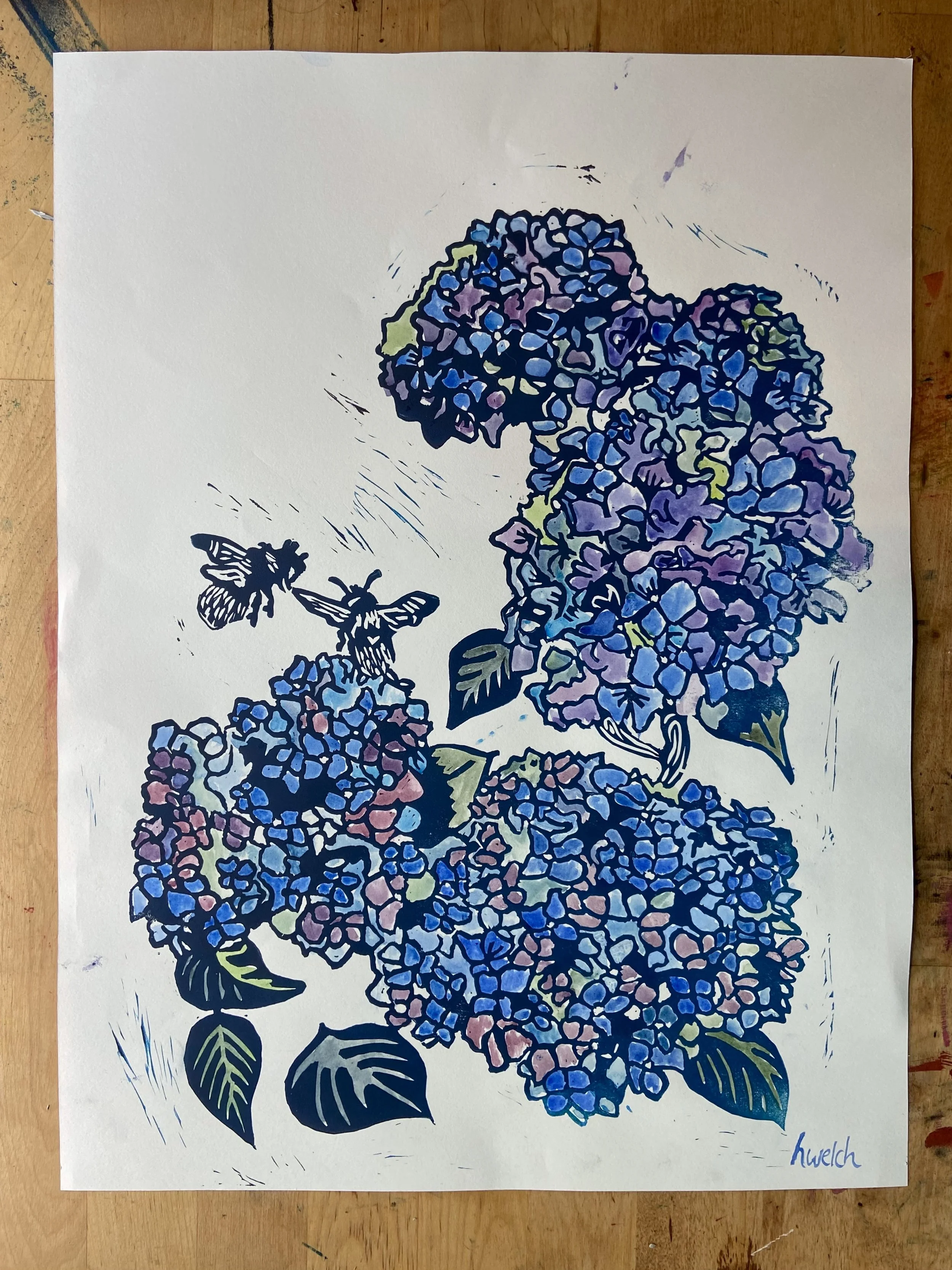 Hydrangeas, 2024
