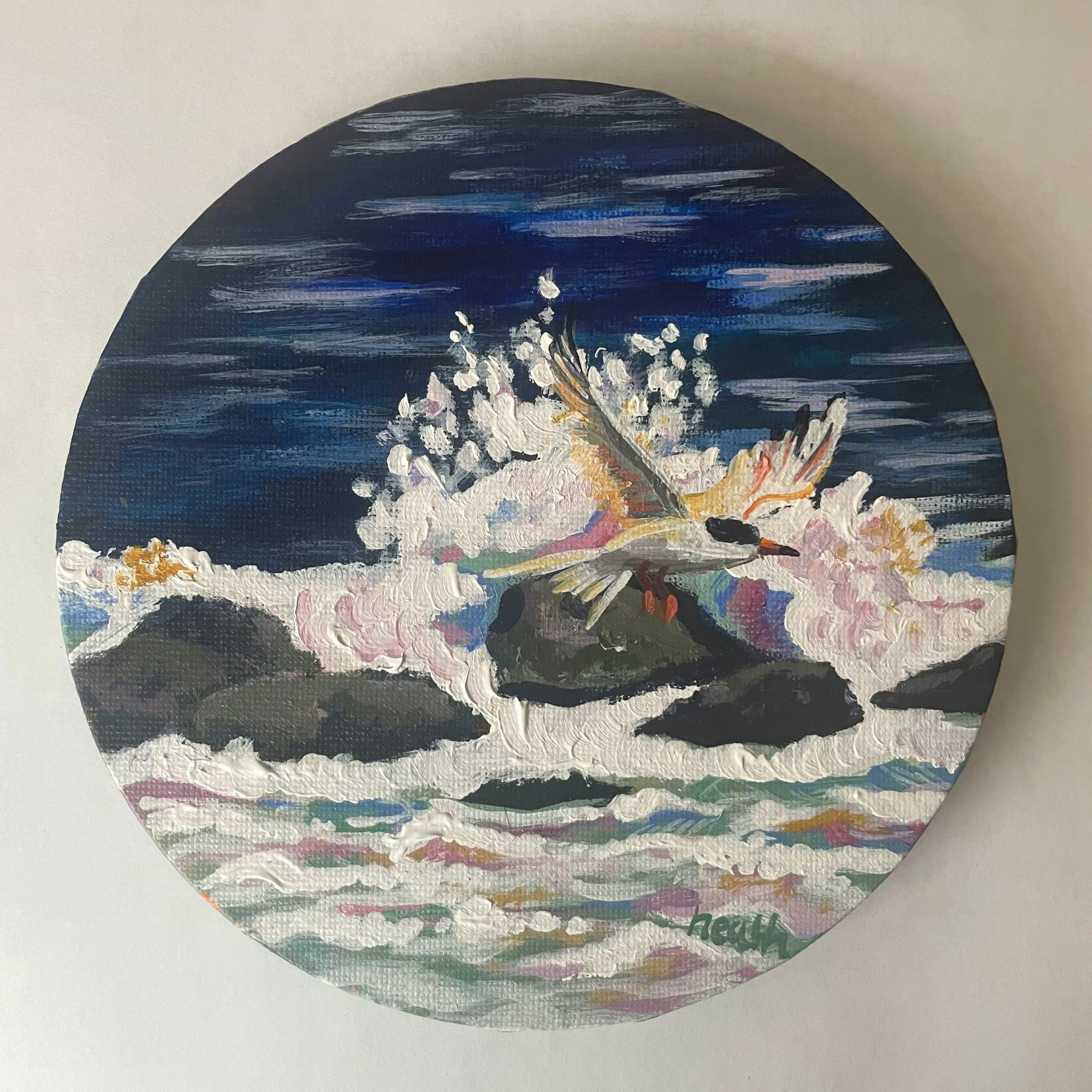 Tern - Acrylic on Canvas, 2025