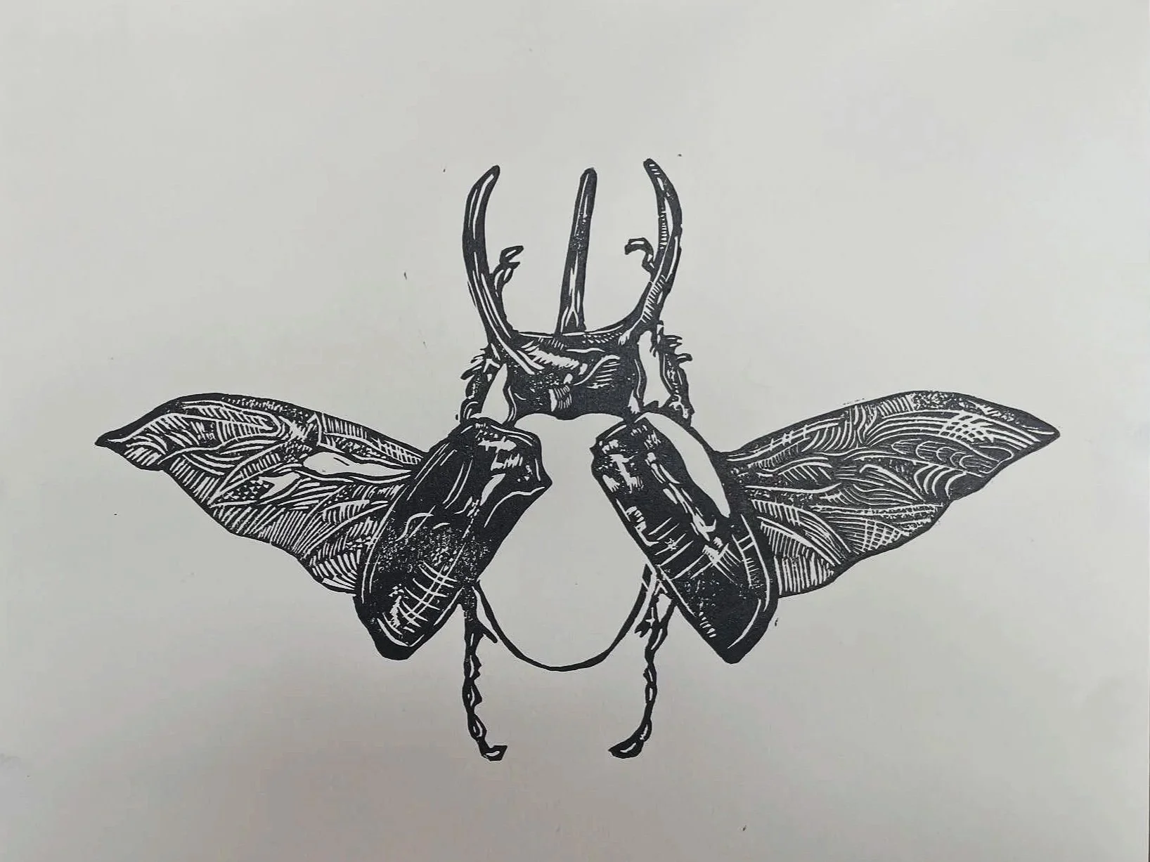 Atlas beetle - Oil ink, 2026