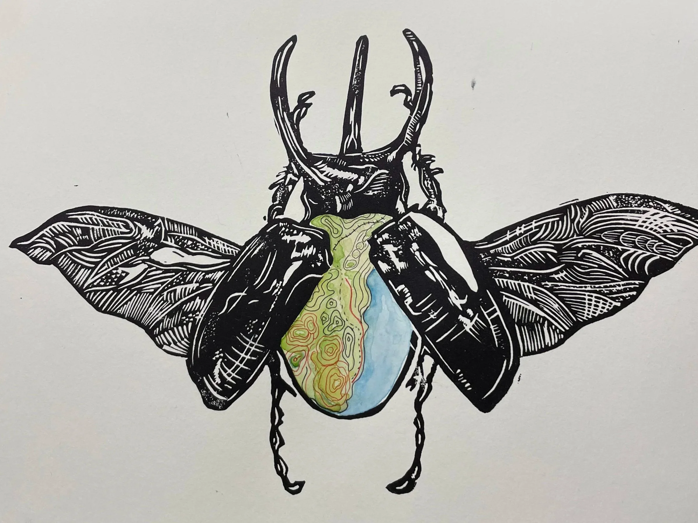 Atlas beetle - Oil ink, watercolor, and pen; 2026
