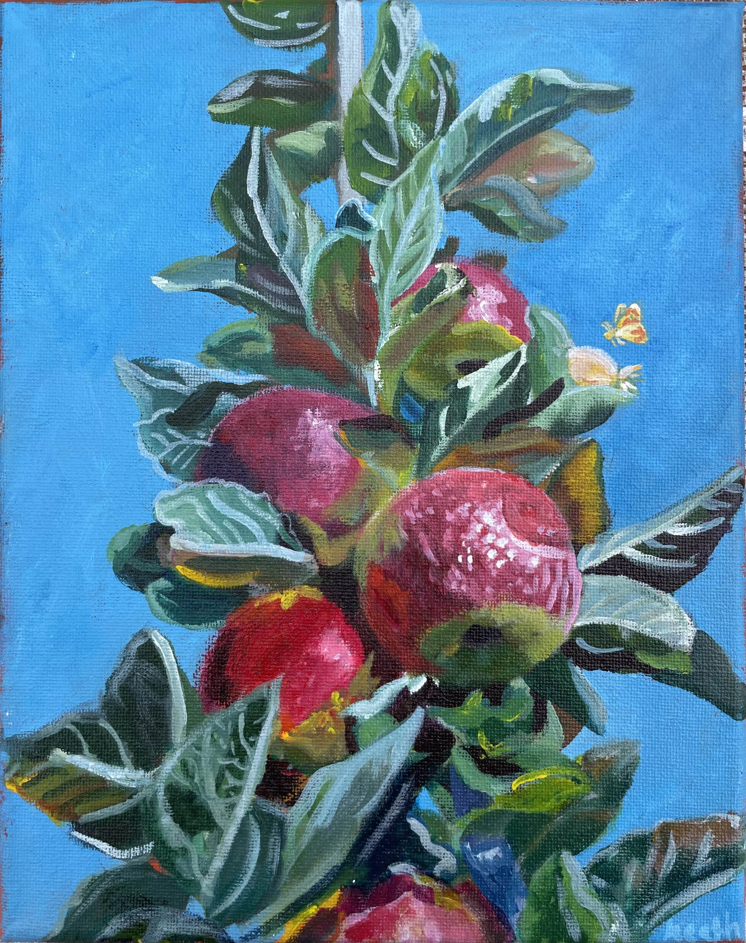 Apples - Acrylic on Canvas, 2025