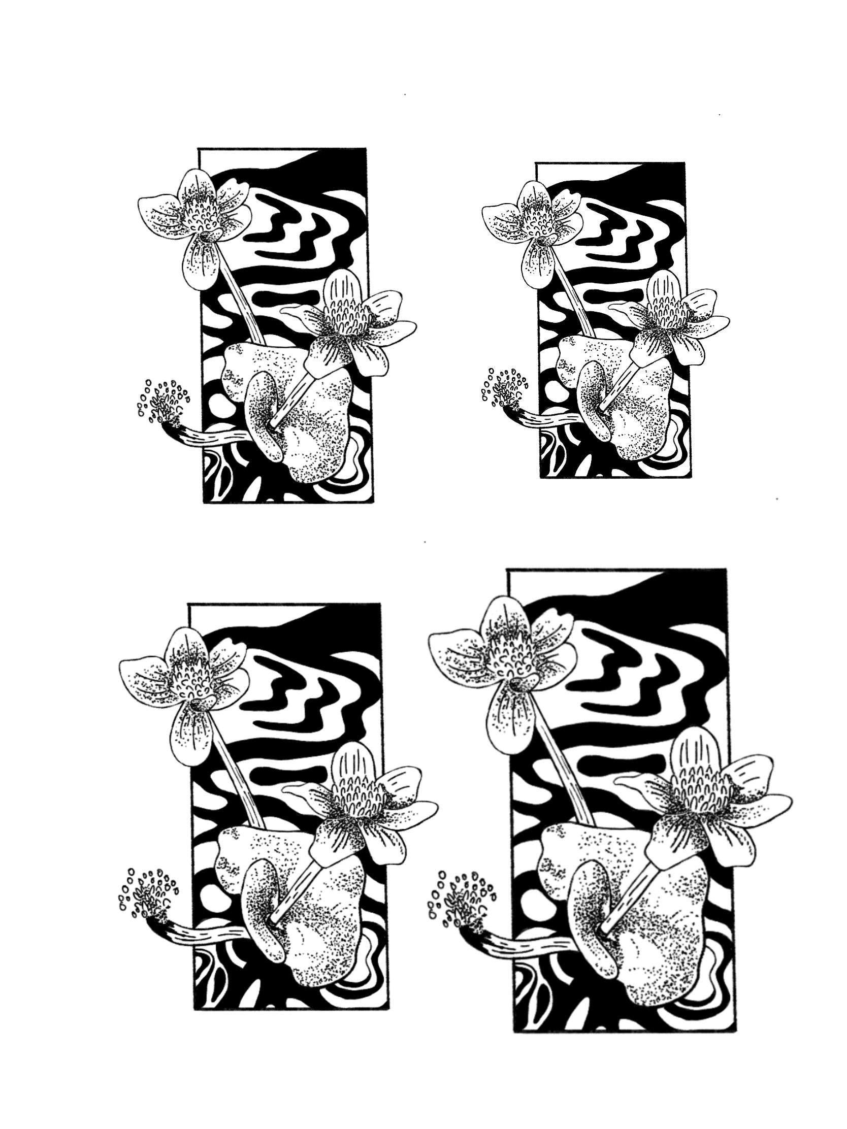 IMG_4129.PNG