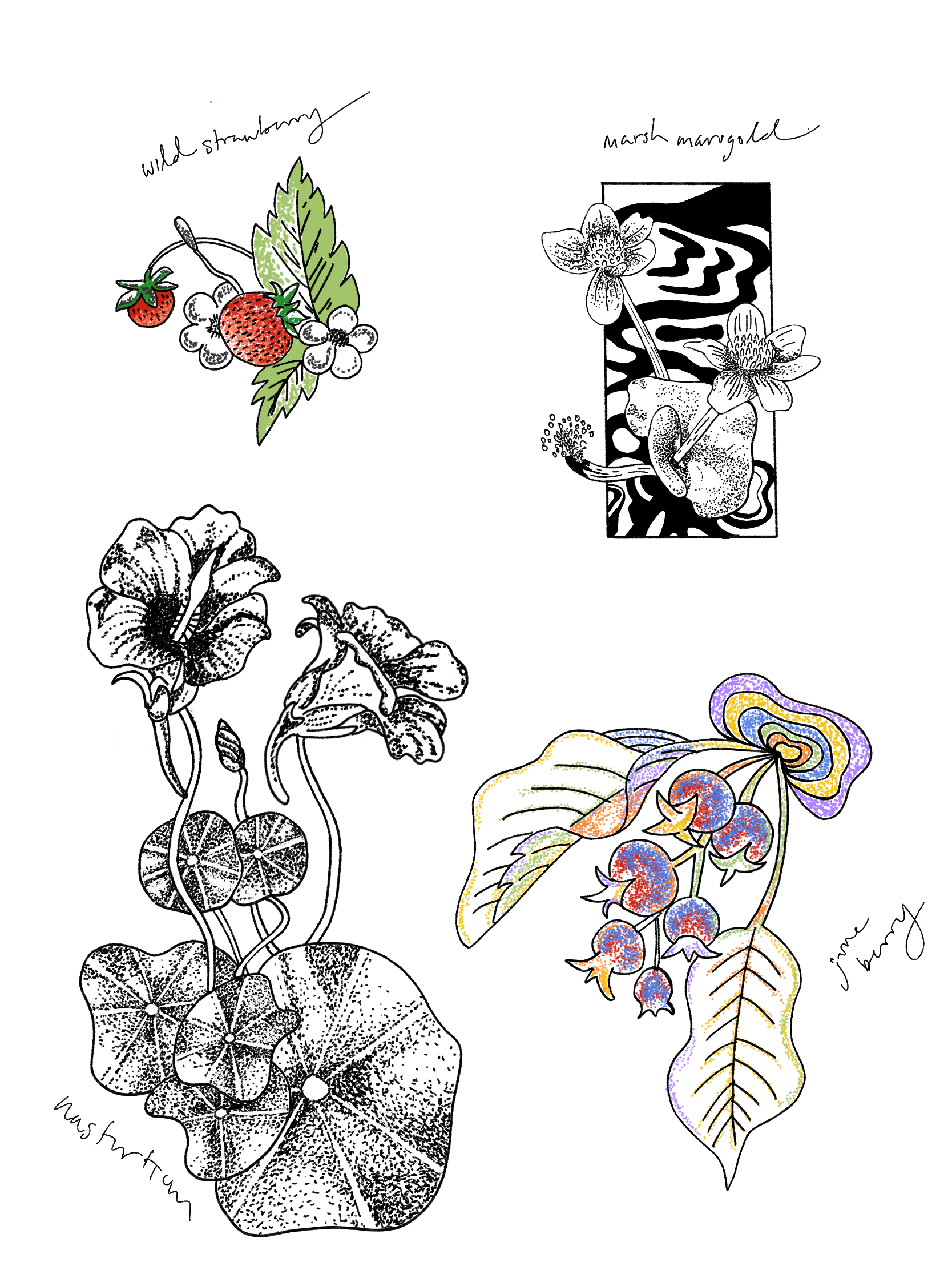 IMG_4128.PNG