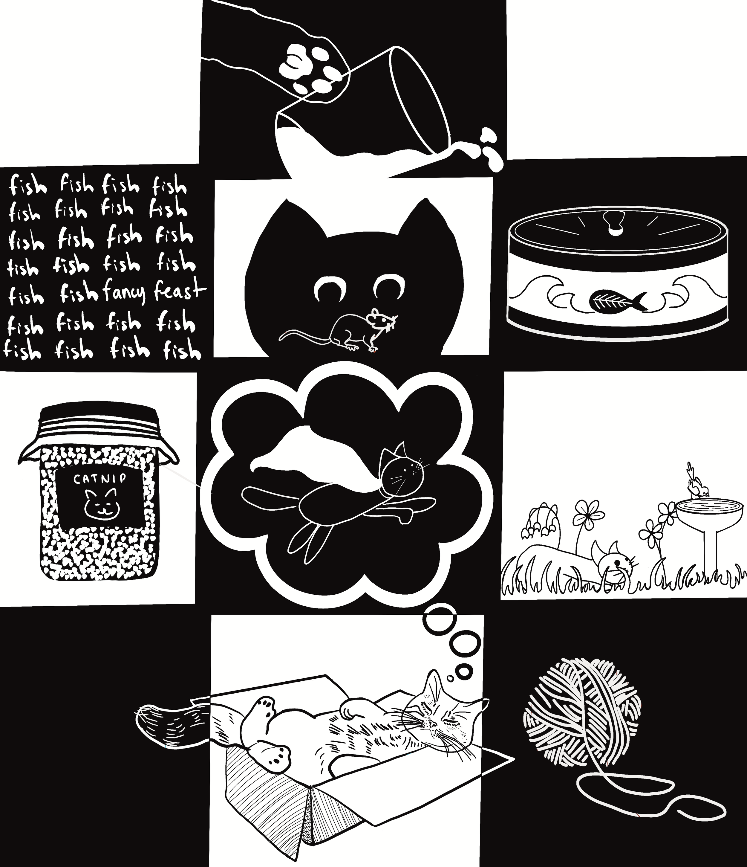 Cat Dreams, 2024