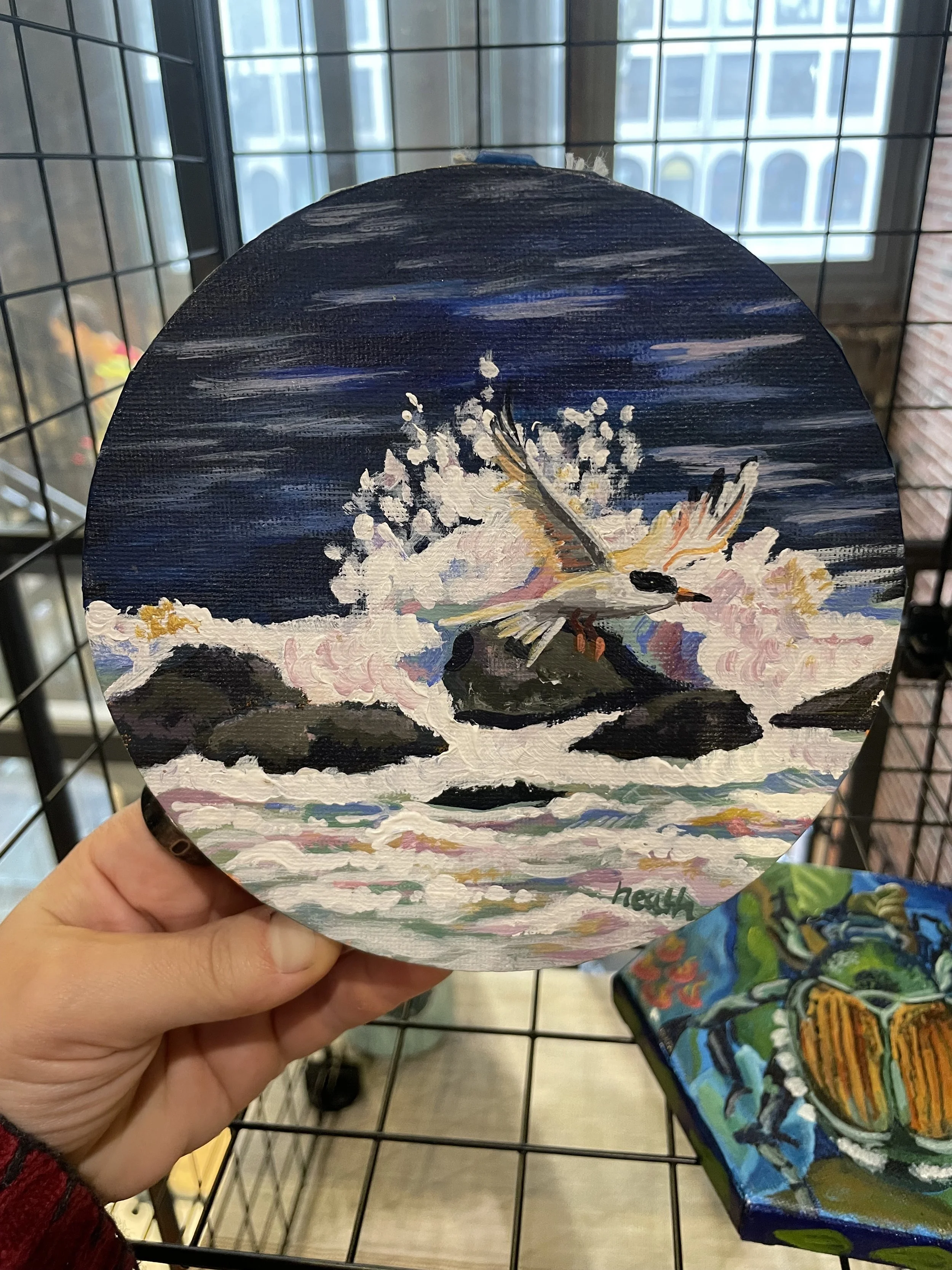 Tern - Acrylic on Canvas, 2025