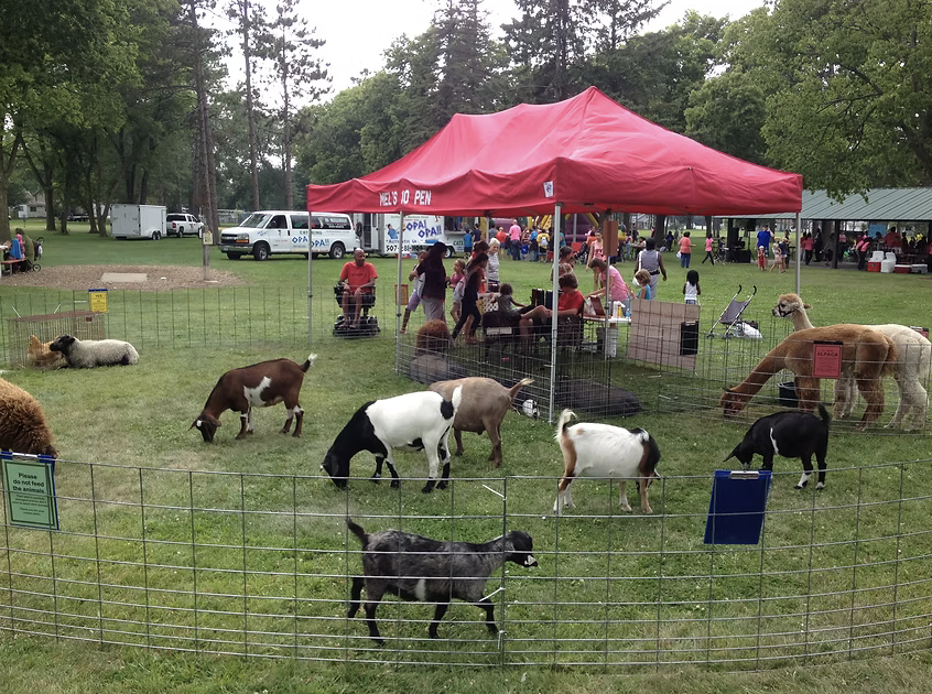 Children and adults at a petting zoo with goats and sheep inside a fenced area, under a red canopy in a park during daytime.