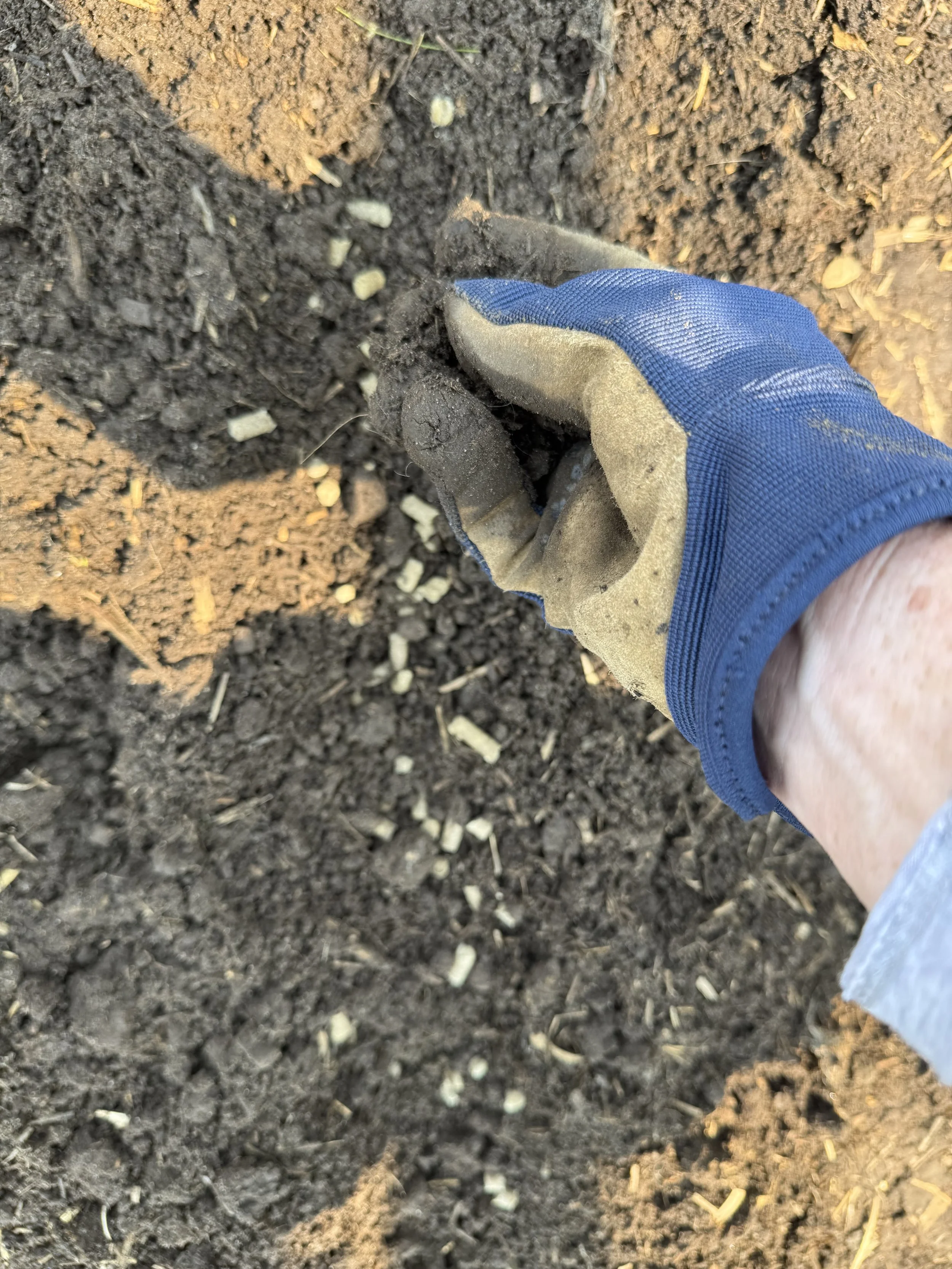 Peat, Wool Pellets and Benjamin Franklin