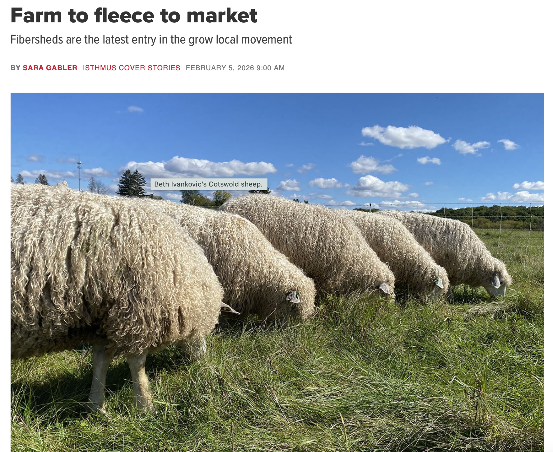 What can wool be used for?  How can I grow plants without chemicals?