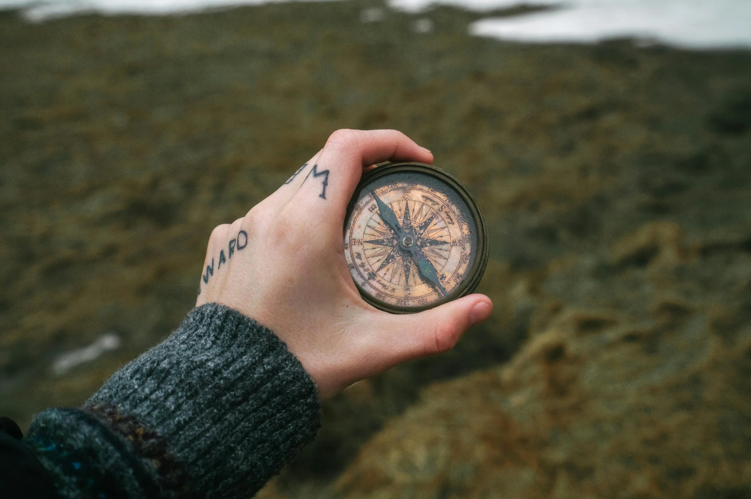 DBT Therapists: Trained for Intensity, Grounded in Compassion