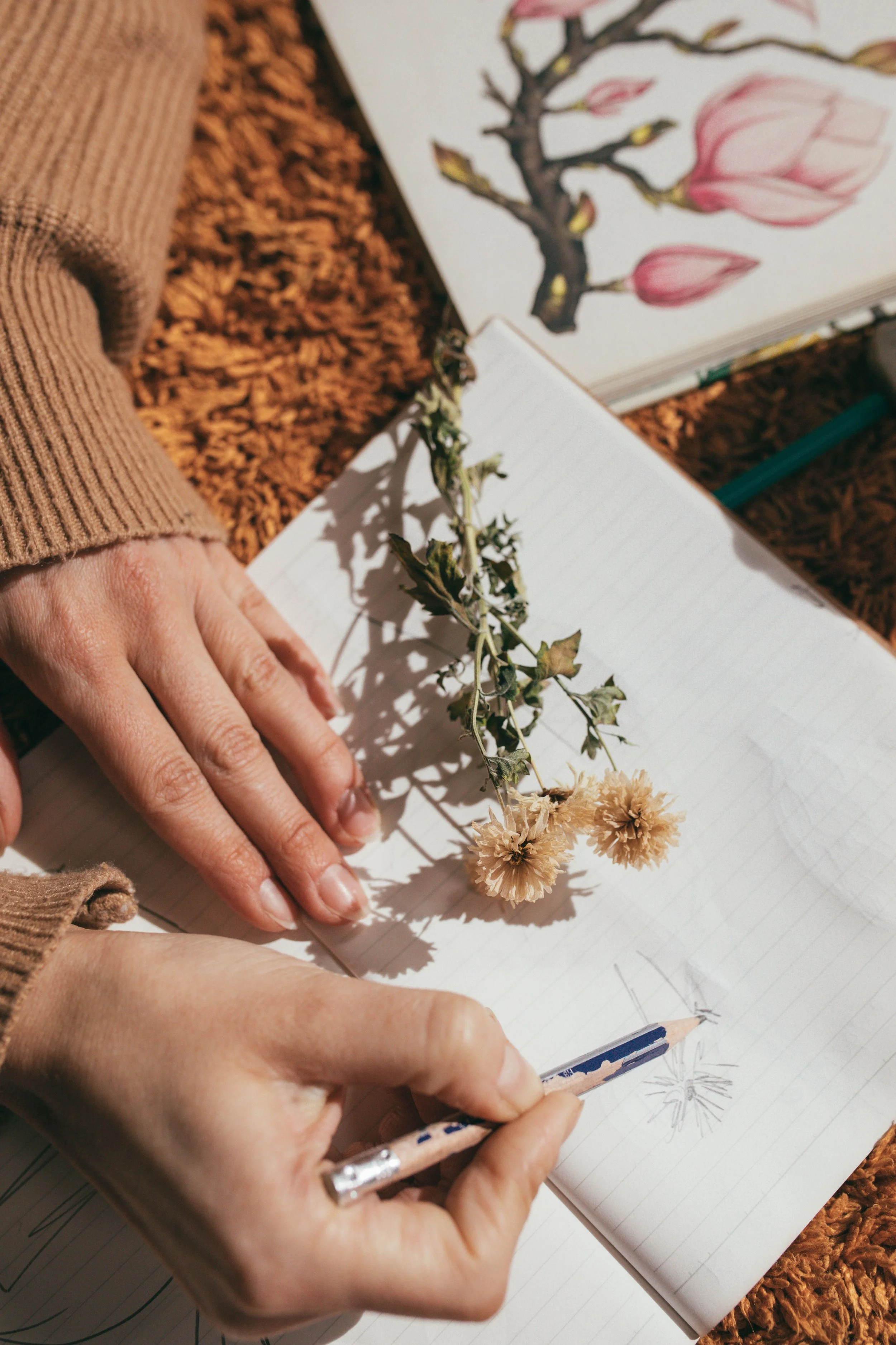 A person sketches a flower on a lined notebook with a floral drawing of a magnolia tree with pink blossoms in the background. The person is wearing a brown sweater and has a silver ring on their finger. Calming art therapy drawing and mindfulness
