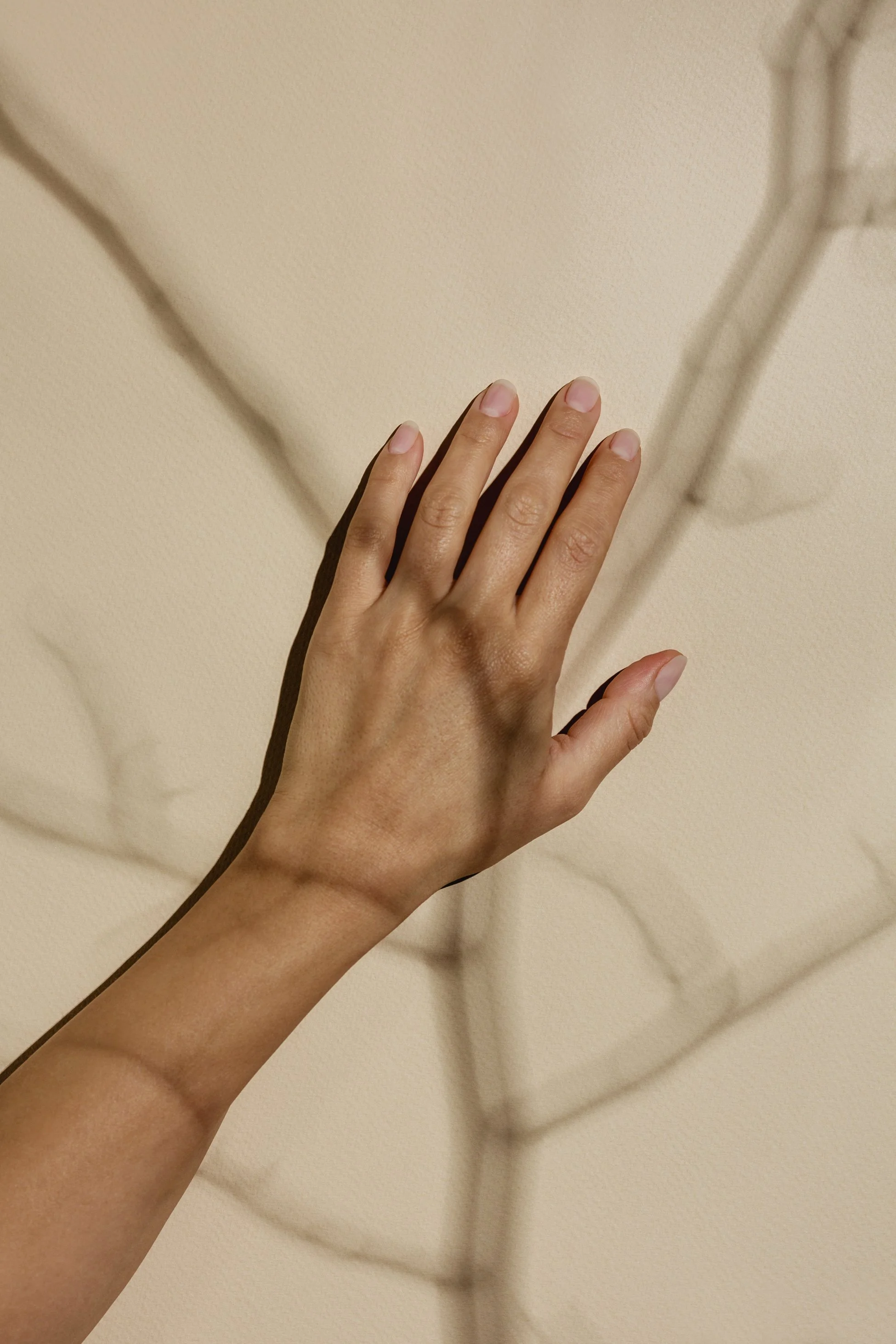 A human hand reaching up, casting a shadow that resembles bare tree branches on a beige textured wall.