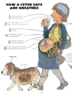 It’s not about sex: Teaching young children where babies come from (and other stuff)