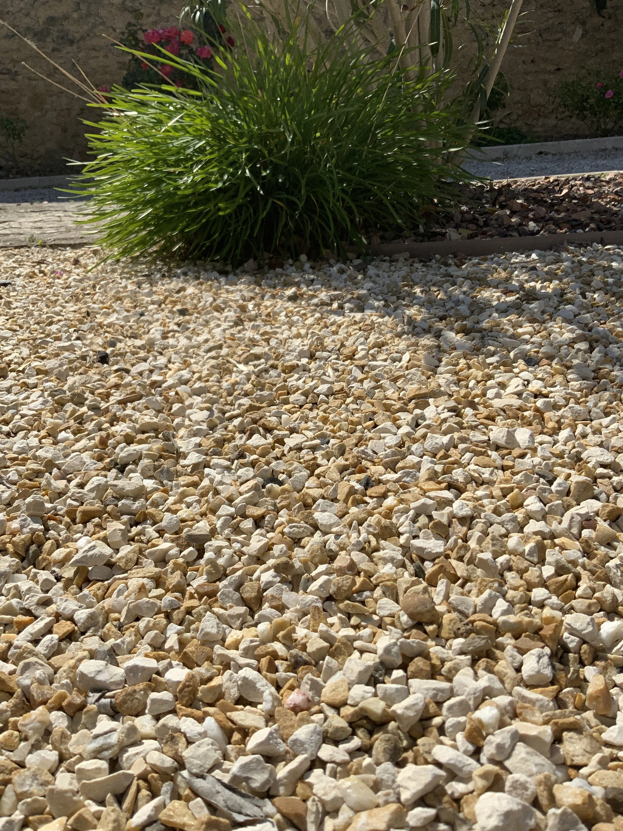 Photo de gravier beige et blanc avec une plante verte à l'arrière-plan