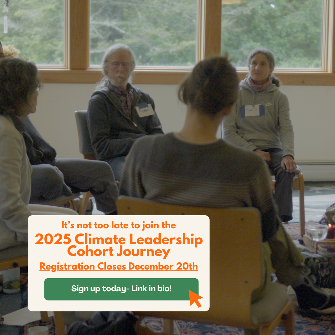 CLCJ Not Too Late Insta.png