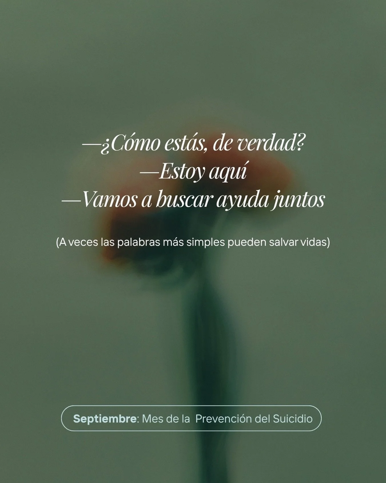 💛 Este mes recordamos que:
- Pedir ayuda es un acto de valent&iacute;a, no de debilidad.
- Escuchar sin juzgar puede marcar la diferencia.
- Nadie tiene que atravesar el dolor en soledad.

Este mes de la Prevenci&oacute;n del Suicidio, hablemos. Pre