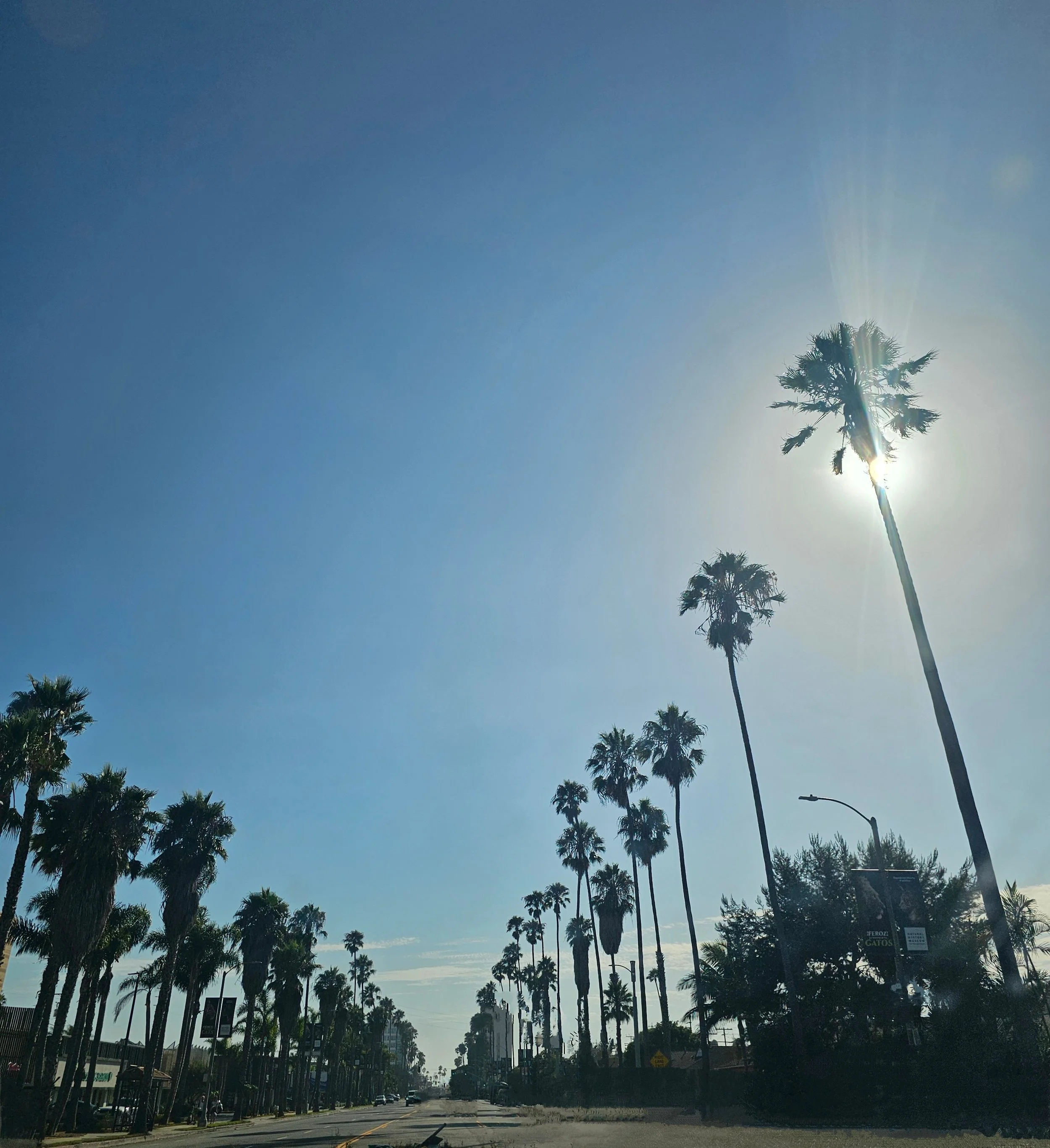Last-Minute LA &amp; OC Adventure: Beaches, Disneyland, and Unexpected Fun