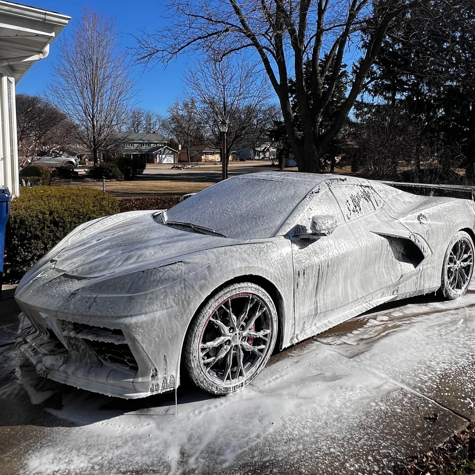 Exterior Detail, hand wash, foam canon, mobile detail