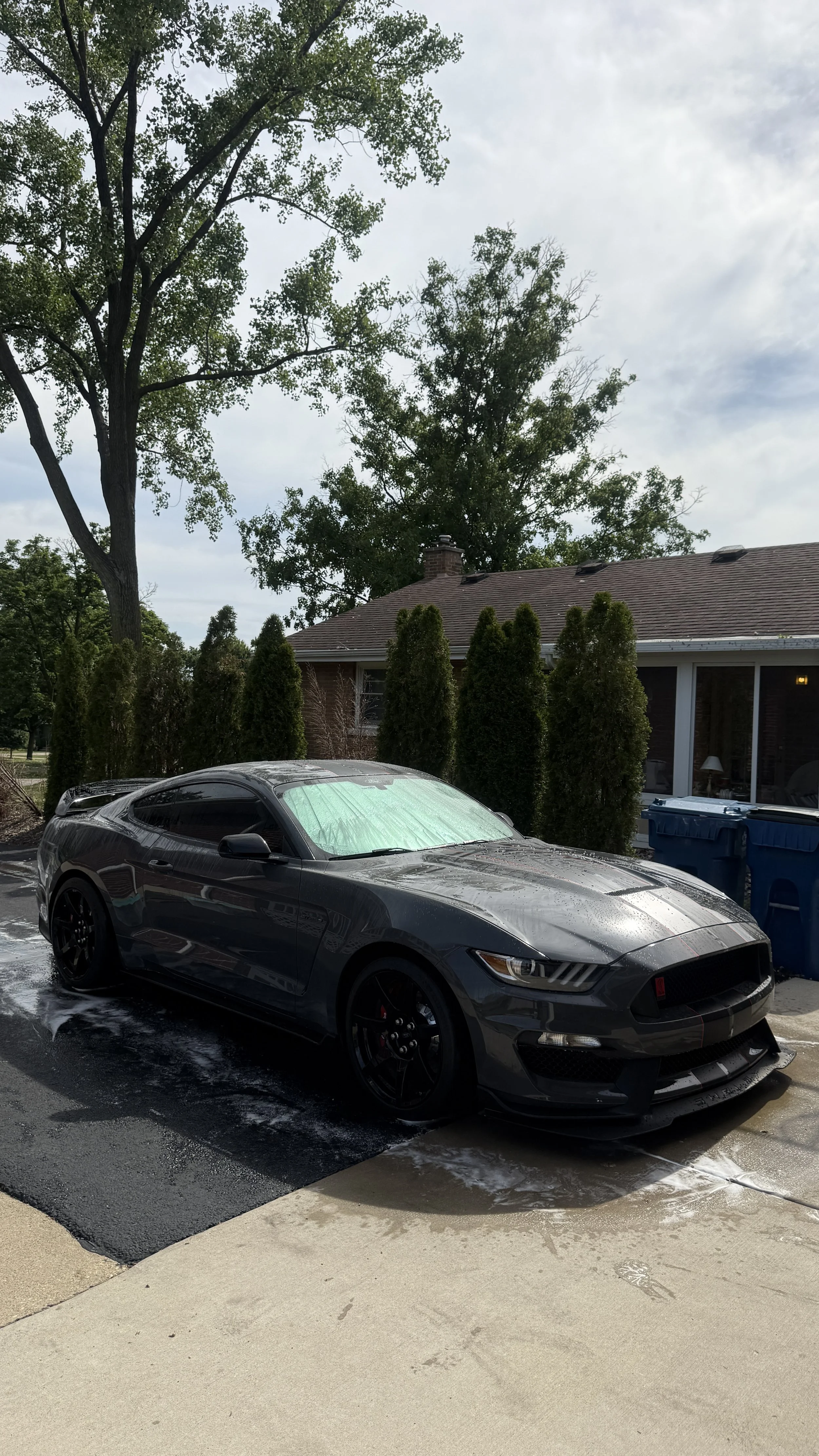 Chicago mobile detailing. Paint correction. Ceramic Coating.