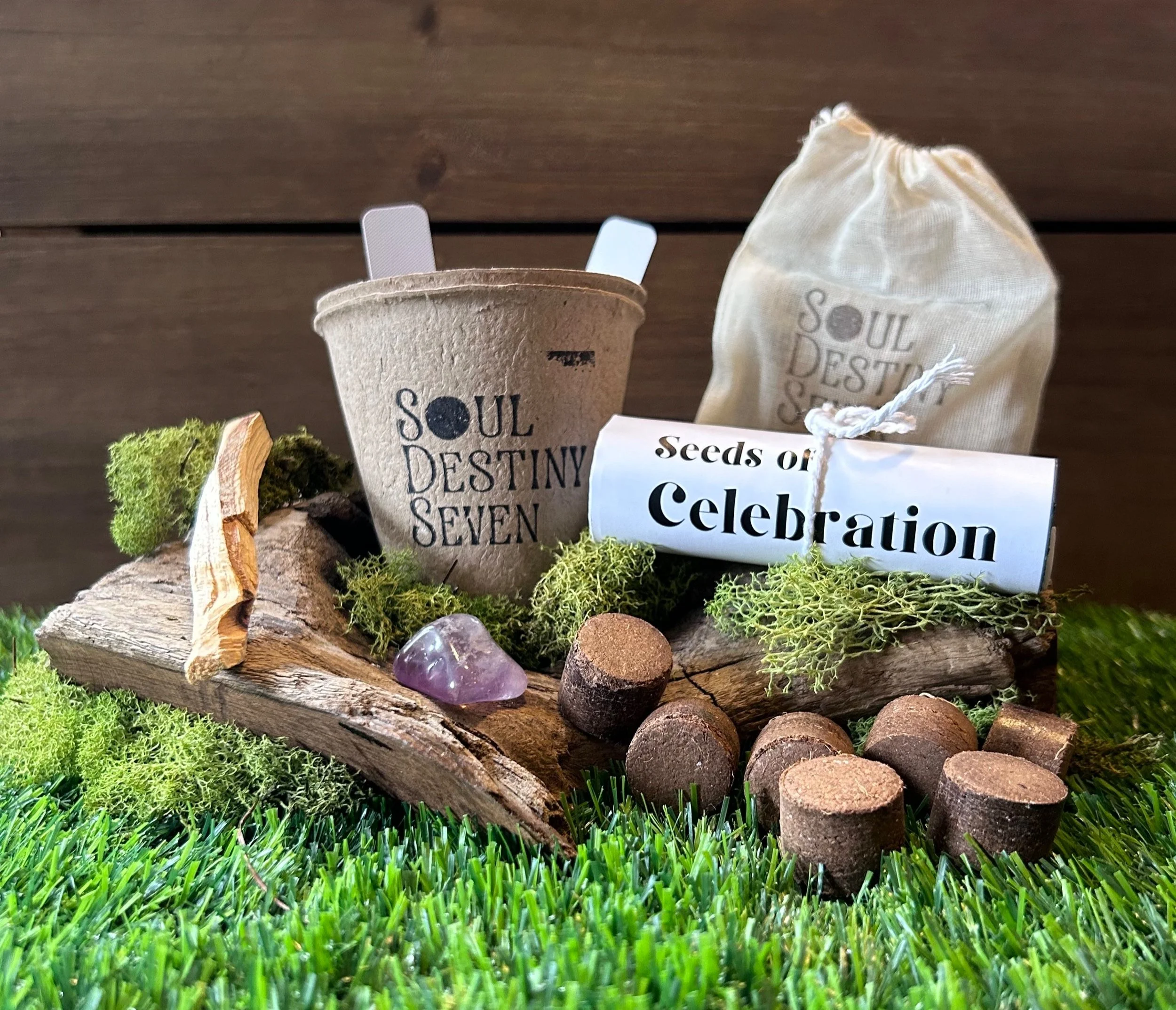 Giving Back: A Key to Abundance