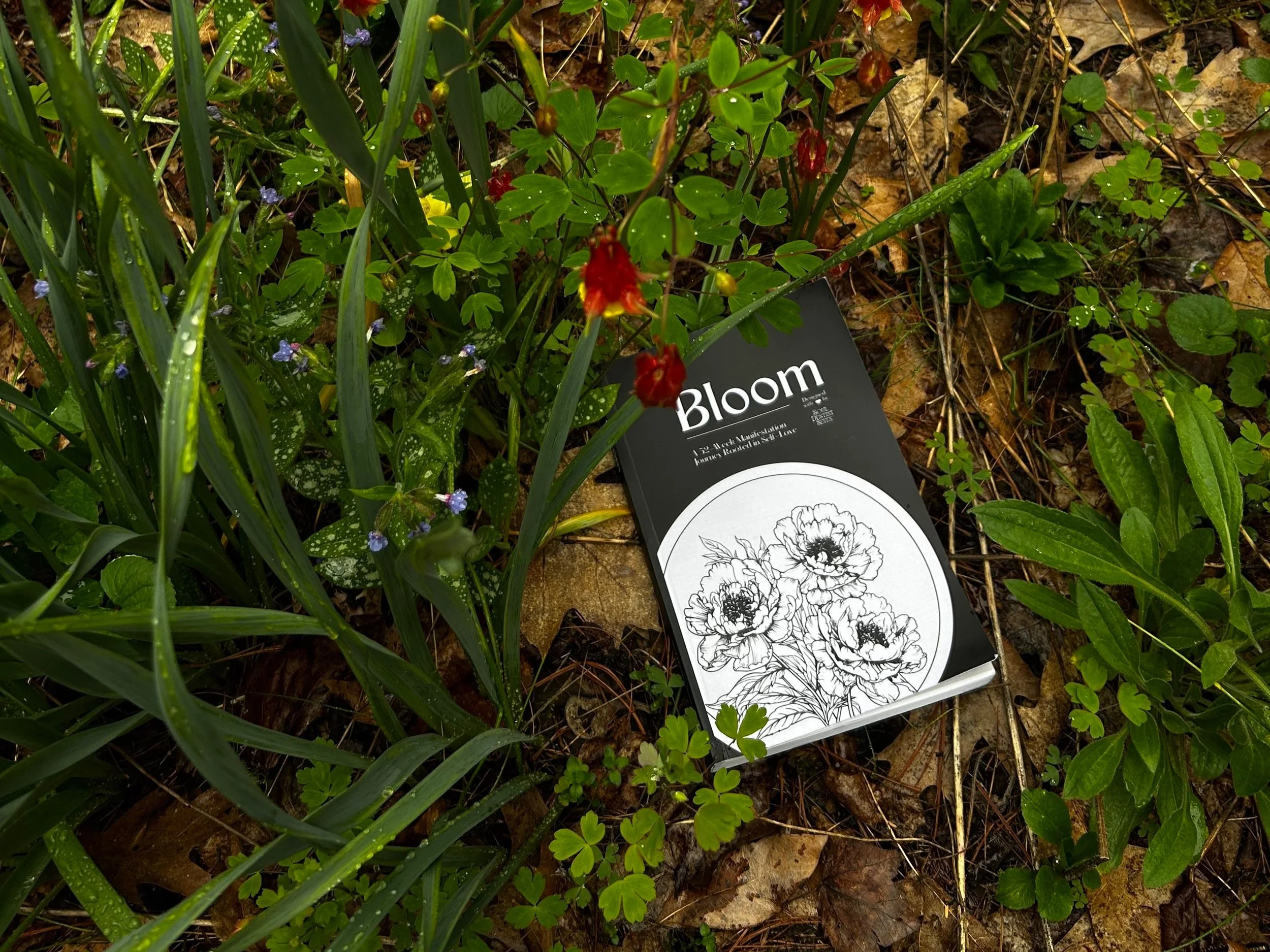 An Introduction to Bloom, a Manifestation Journal