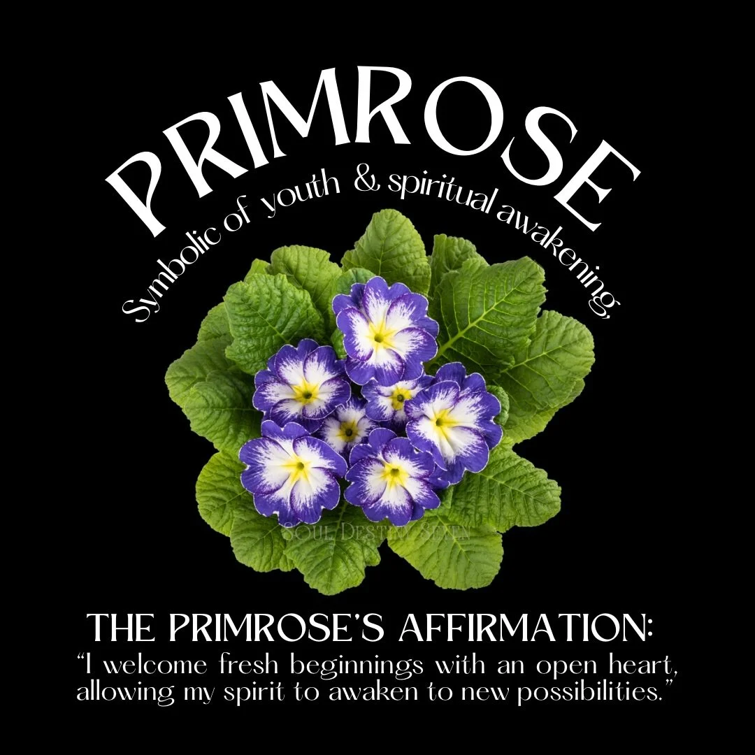 Primrose symbolizes new beginnings and the soft awakening of the soul. It reminds us that every season holds the potential for renewal and that gentle beginnings carry powerful energy. 

Let this flower guide you toward fresh starts filled with inten