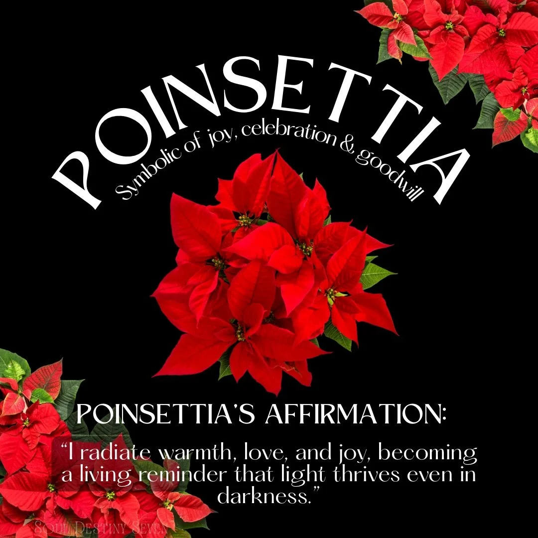 Poinsettia glows with the warmth of joy and heart-centered abundance, reminding us that light thrives even in the darkest months. A symbol of generosity, celebration, and love, it calls us to open our hearts and share our inner radiance freely. 

Let