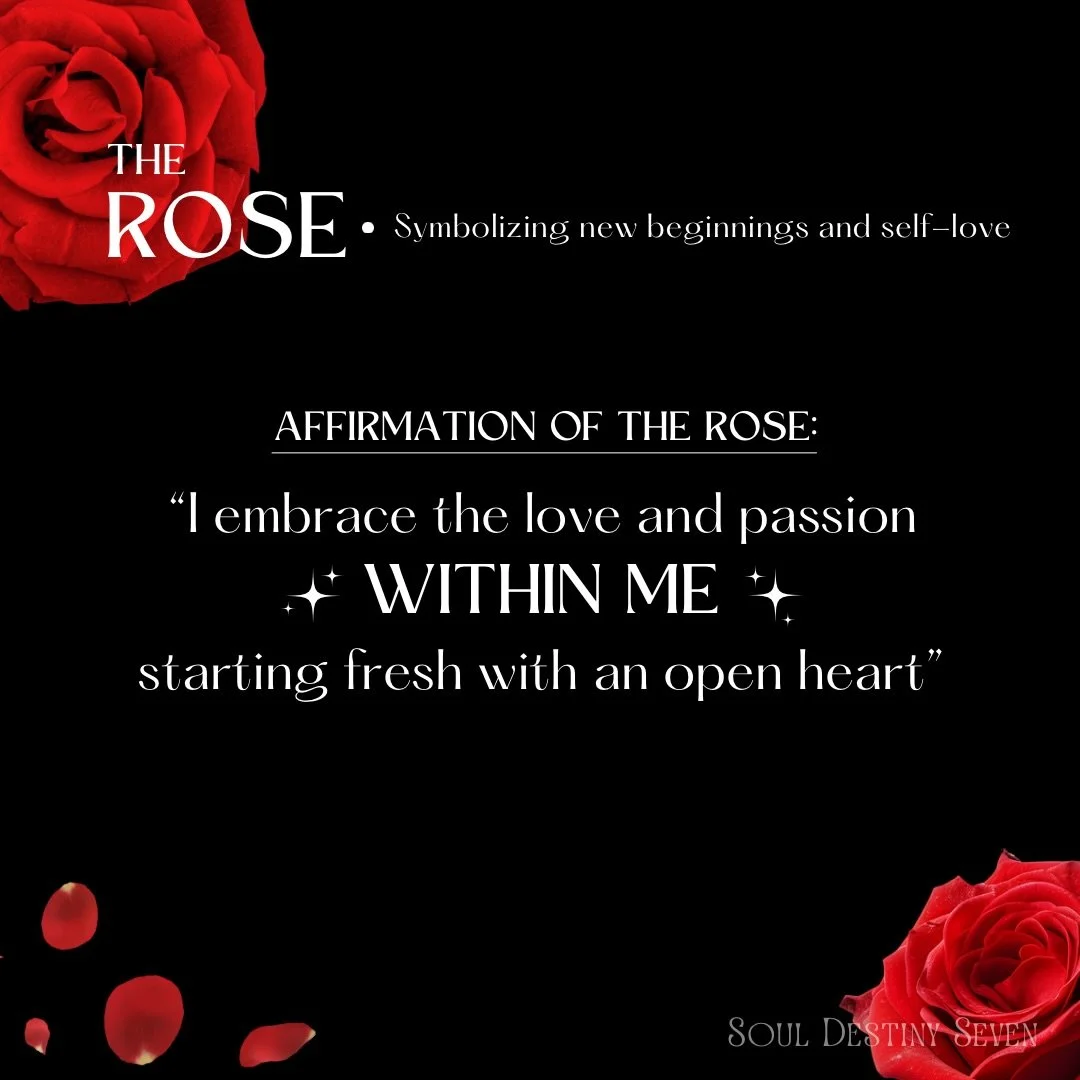 ✨ Floriography Friday: Rose✨

Rose is the flower of love, devotion, and soul-deep beauty, a reminder that true tenderness is both powerful and brave. 🌹✨

This bloom carries the energy of passion and grace, teaching us that you can have soft petals A
