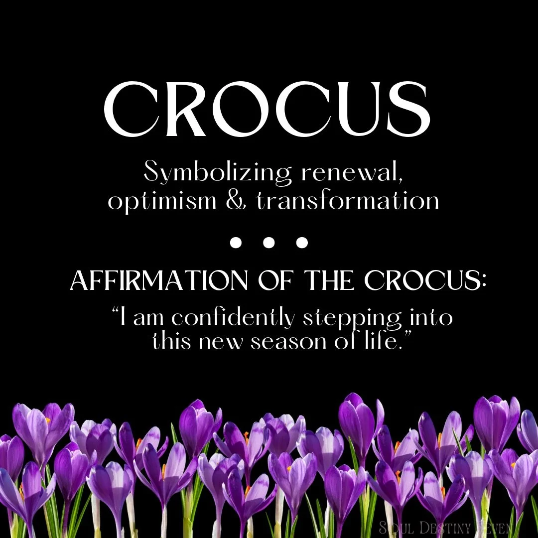 ✨ Floriography Friday: Crocus ✨

Crocus is the flower of hope, awakening, and the first brave bloom, a reminder that even after the longest winter, something new is still possible. 💜🌿

This tiny blossom carries big energy: gentle courage, fresh sta