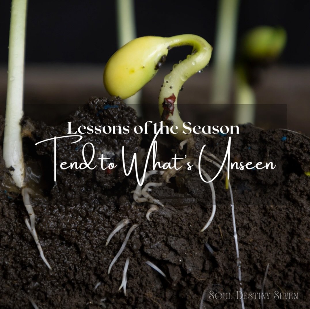 Lessons of the Season: Tend to what&rsquo;s unseen ✨

Not all growth is loud.
Not all progress is visible.
Some of the most important work happens quietly&hellip; beneath the surface.

The healing no one claps for.
The boundaries you&rsquo;re learnin