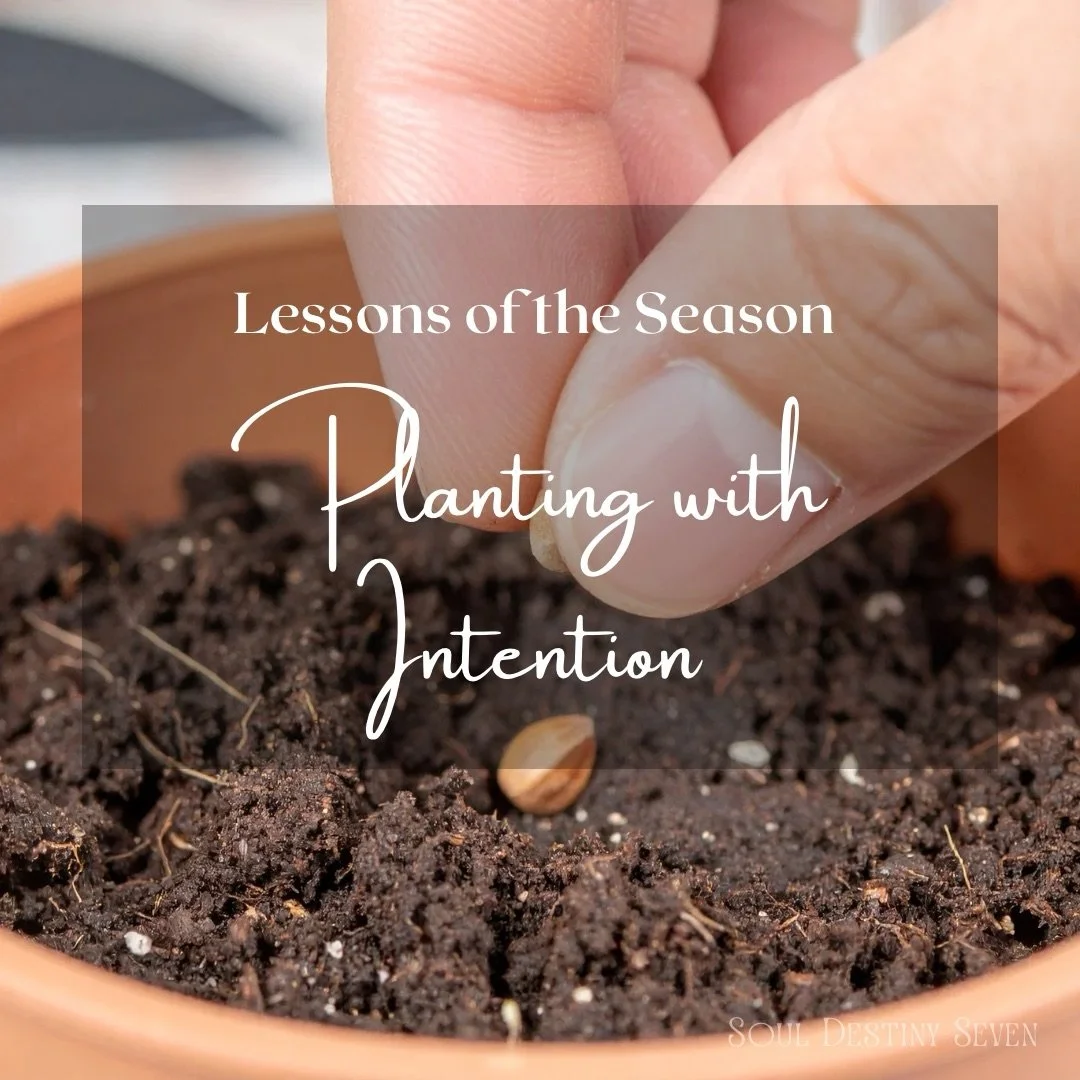 Planting with intention. 🌱

Plant with clarity.
Water with consistency.
Trust the timing of what you&rsquo;ve chosen.

This is the season of deliberate beginnings &mdash; where desire meets devotion.

#souldestinyseven #plant #seed #growth #garden