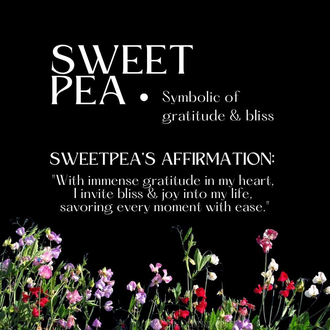 🌸 Floriography Friday: Sweet Pea 🌸

Sweet pea whispers of gratitude and bliss, reminding us to indulge in the simple pleasures life has to offer. 

What is one thing you are grateful for today?  Share in the comments below! 👇 

#souldestinyseven #