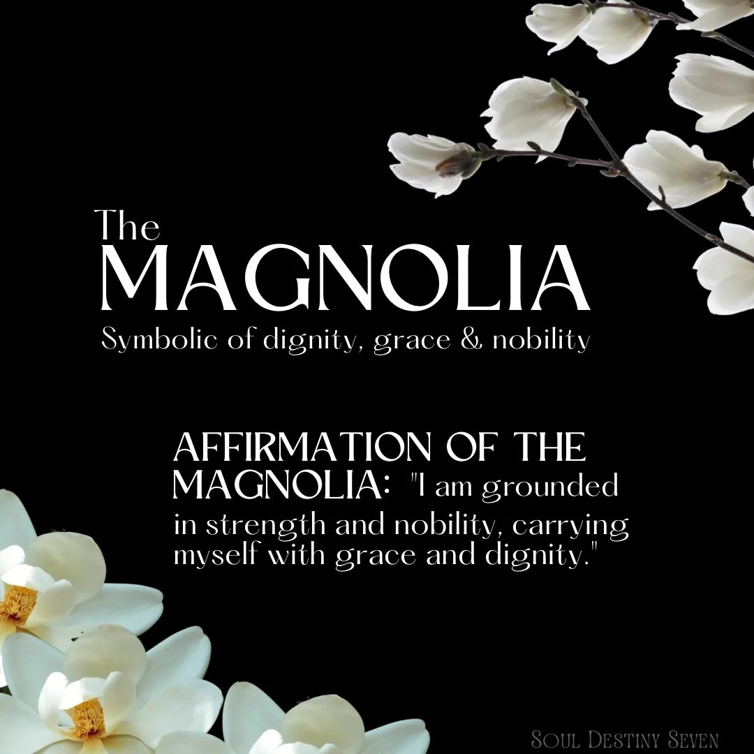 Magnolia speaks softly, but its message is unmistakable: dignity, perseverance, and a quiet kind of strength.

This bloom doesn&rsquo;t rush. It unfolds in its own time&mdash;rooted, steady, and certain of its worth. Even before its petals fully open