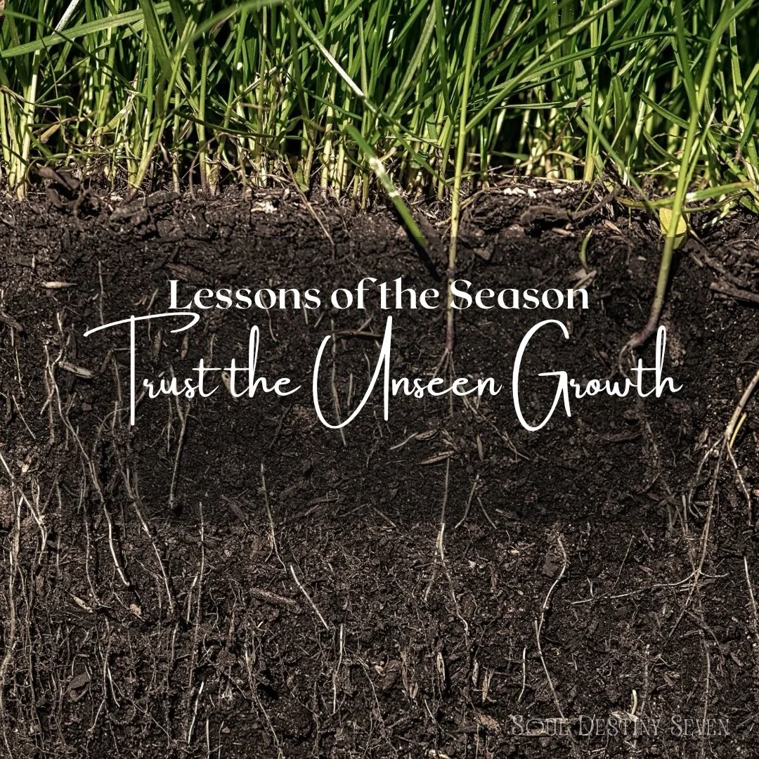 Some growth doesn&rsquo;t announce itself&mdash;it moves quietly beneath the surface, where roots learn how to hold what the eye cannot yet see.

Trust the seasons you cannot rush. Trust the silence where nothing seems to be happening. This is where 