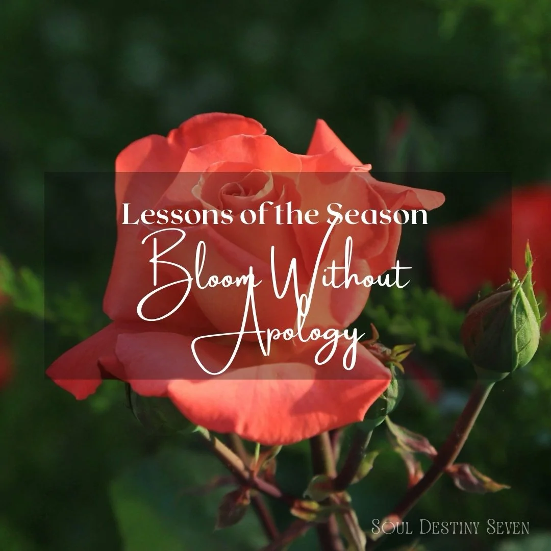 There comes a moment when the waiting ends&mdash;not because everything is perfect, but because you finally stop asking permission to become who you already are.

Let yourself open fully. Let your colors be too much for some, too bold for others, too