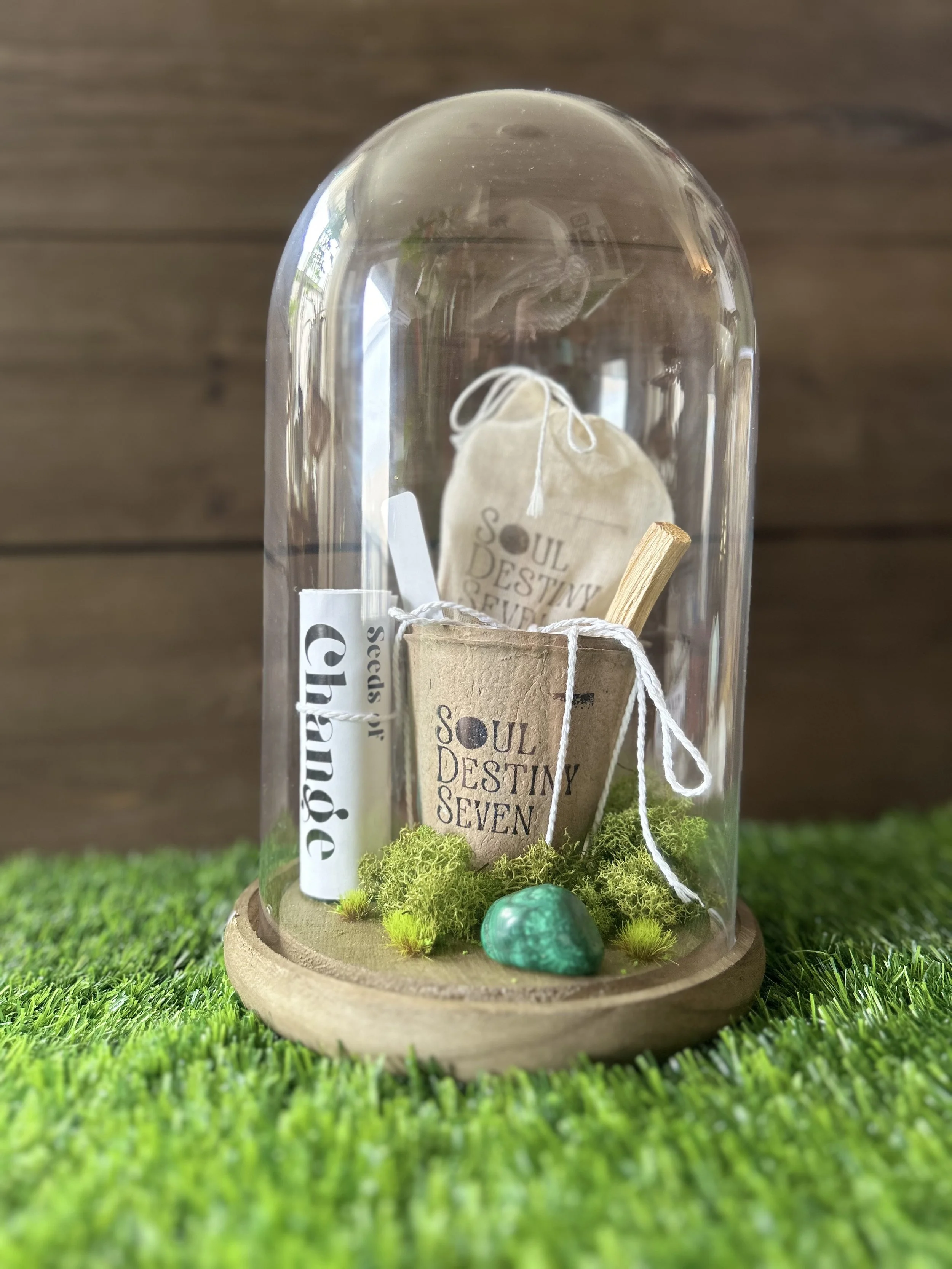 Friendship & Community